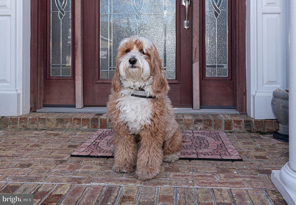 SWANN ESTATES - Residential