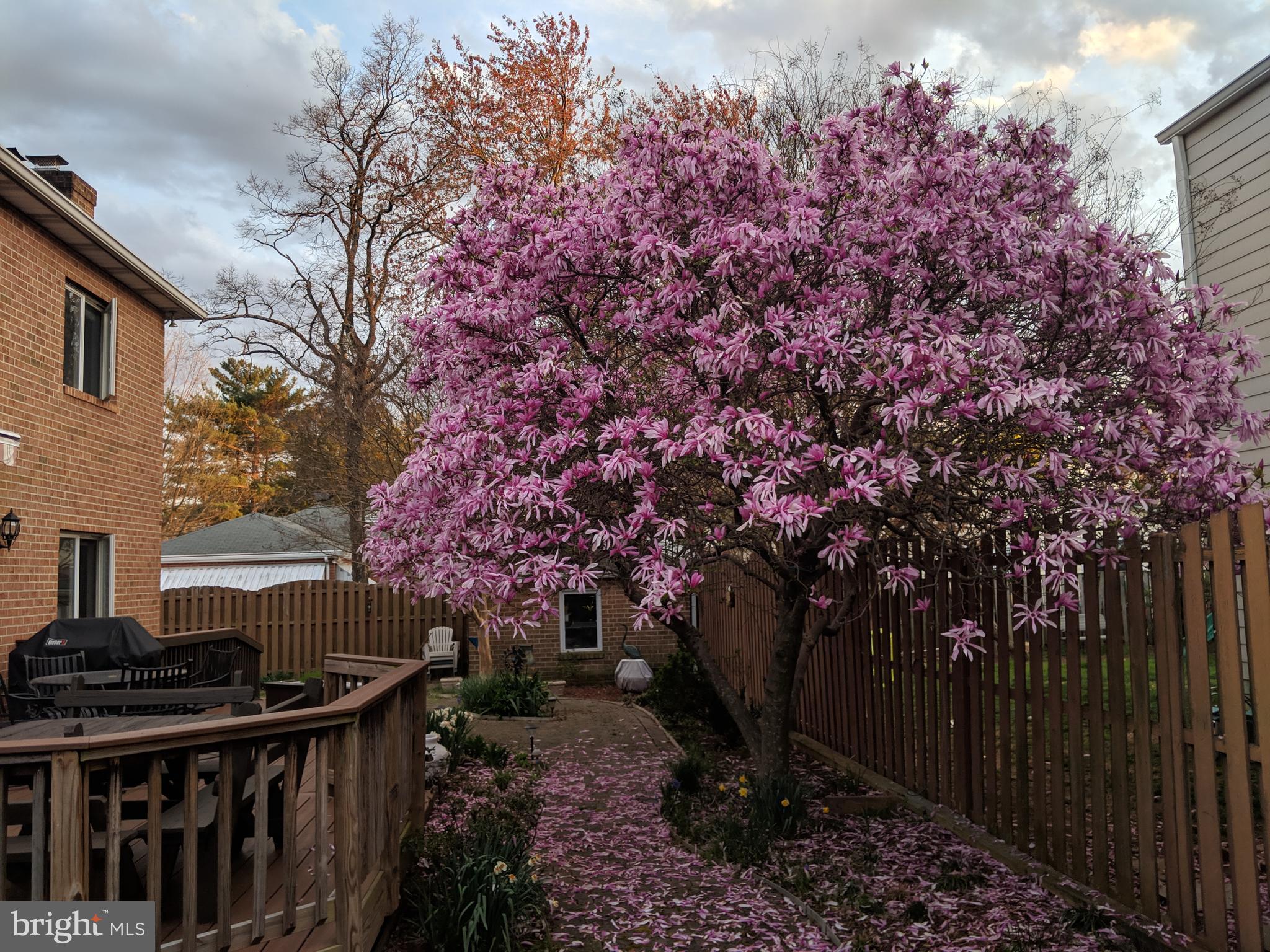 GLENCARLYN - Residential