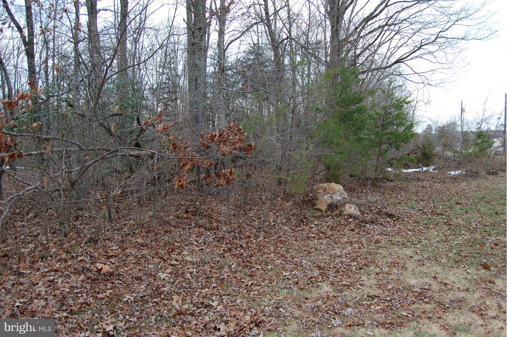 BRIDLEWOOD - Residential