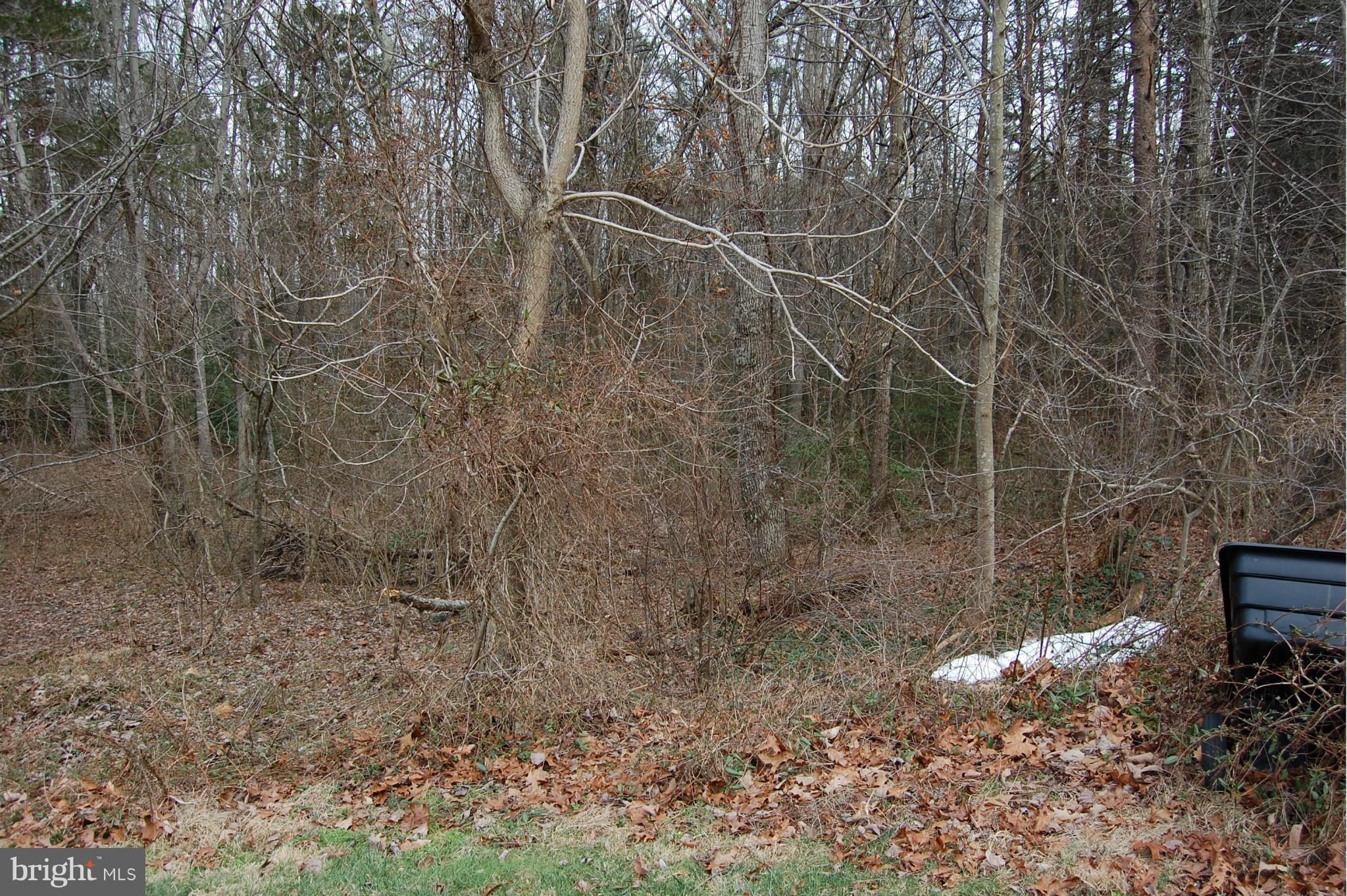 BRIDLEWOOD - Residential
