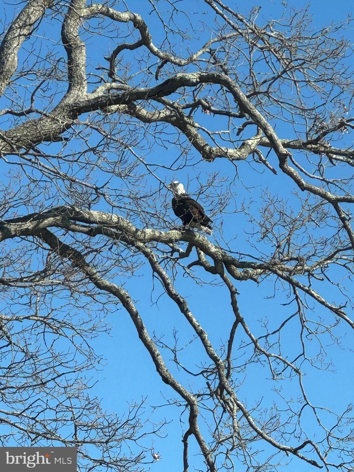 WHITEHALL - Residential