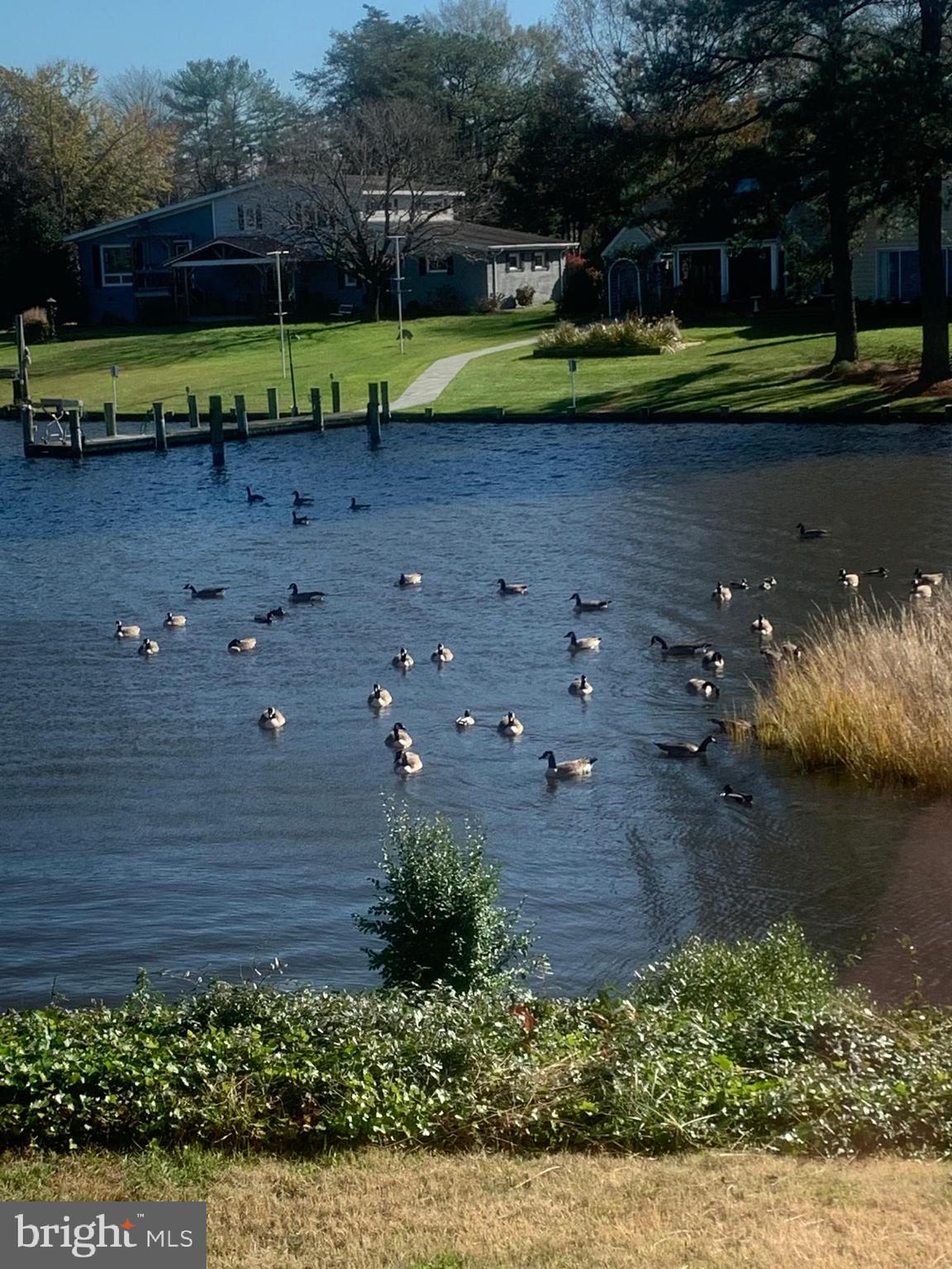 WHITEHALL - Residential