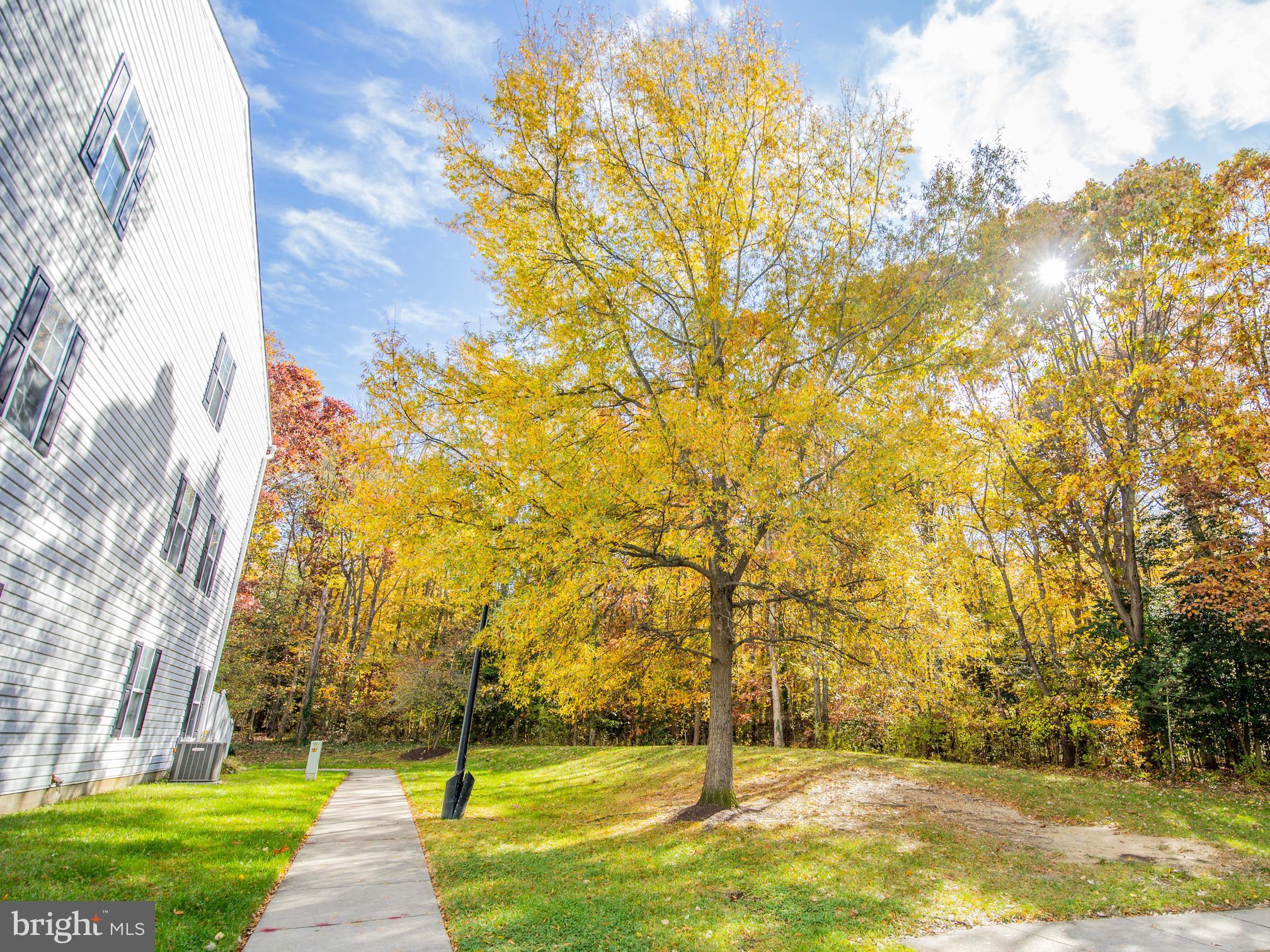 ANNE ARUNDEL - Residential Lease