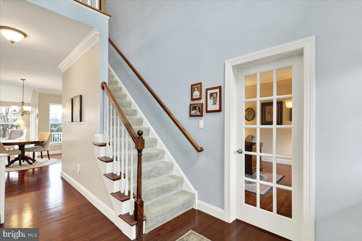 CHESTNUT HILL AT EX - Residential