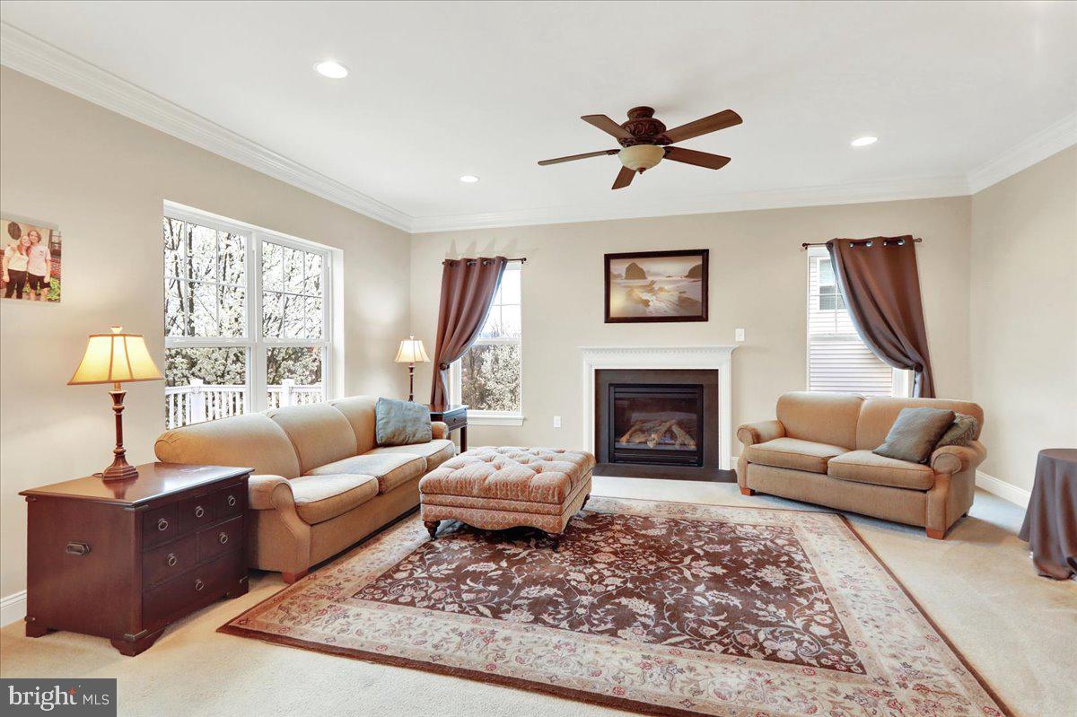 CHESTNUT HILL AT EX - Residential