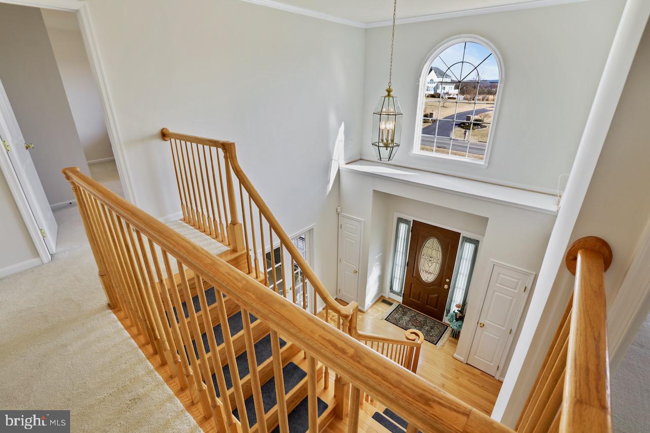 SPRUCE HILL ESTATES - Residential