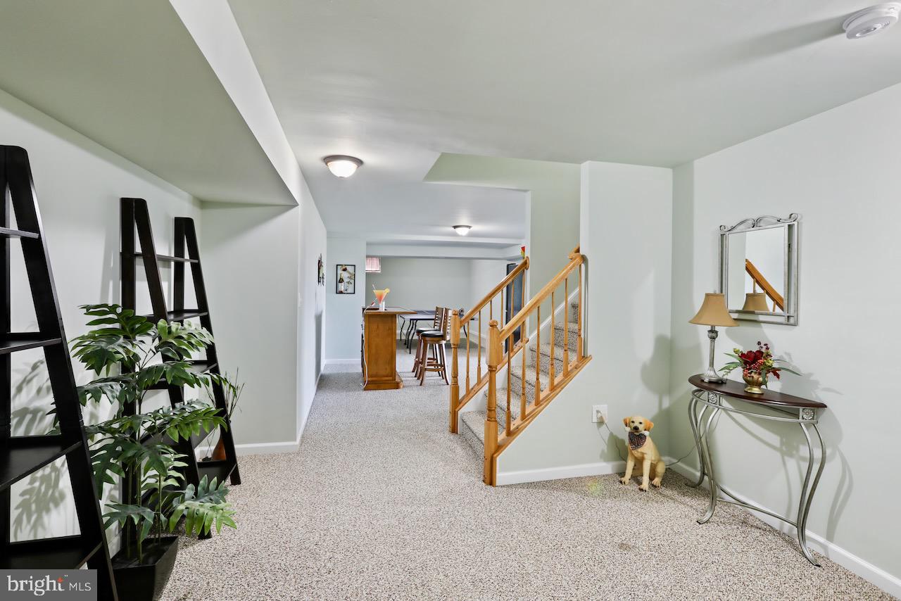 SPRUCE HILL ESTATES - Residential