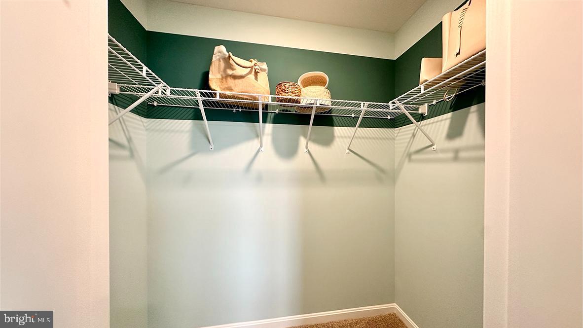 SASSAFRAS MEADOWS - Residential