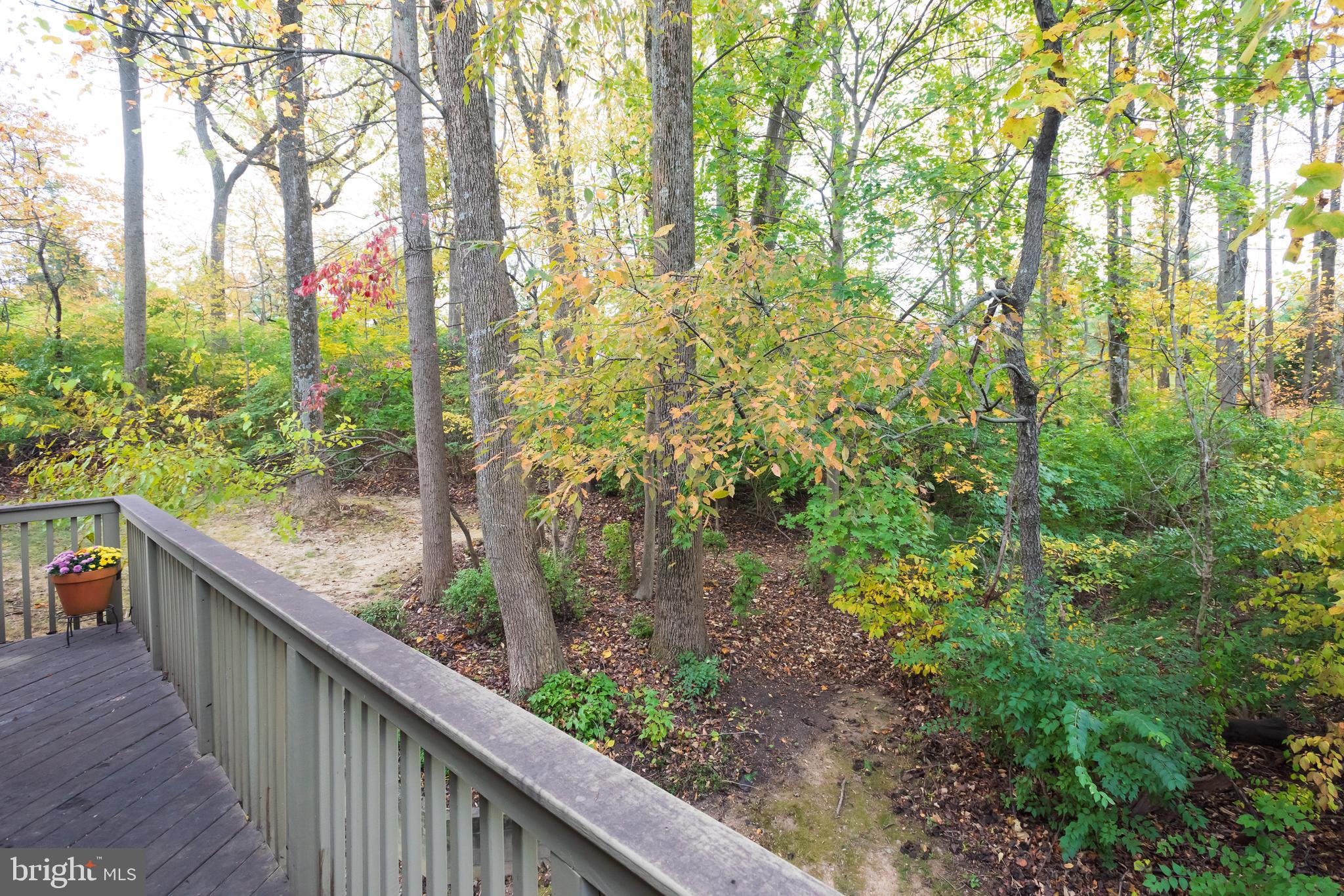 LYNETREE - Residential