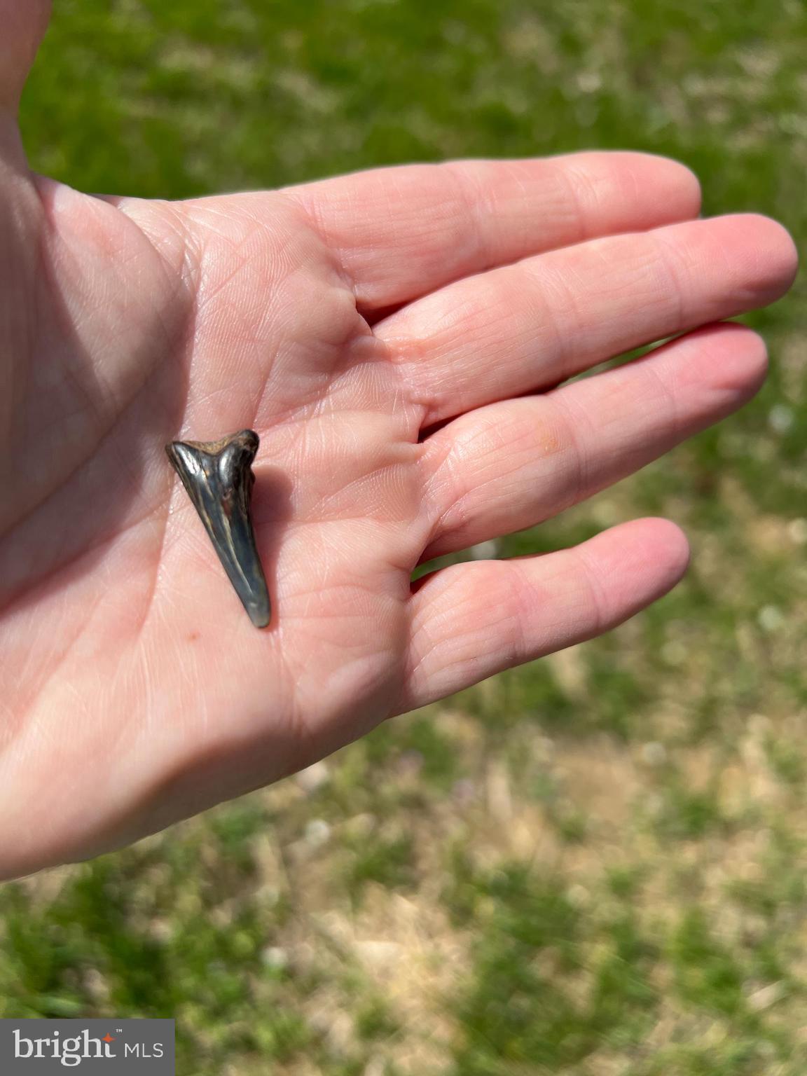 COVE POINT - Residential