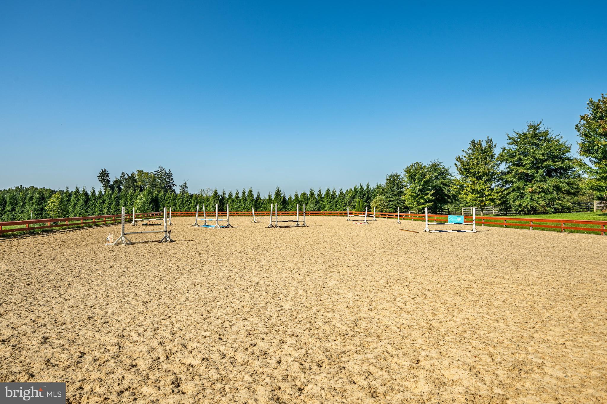 NONE AVAILABLE - Farm