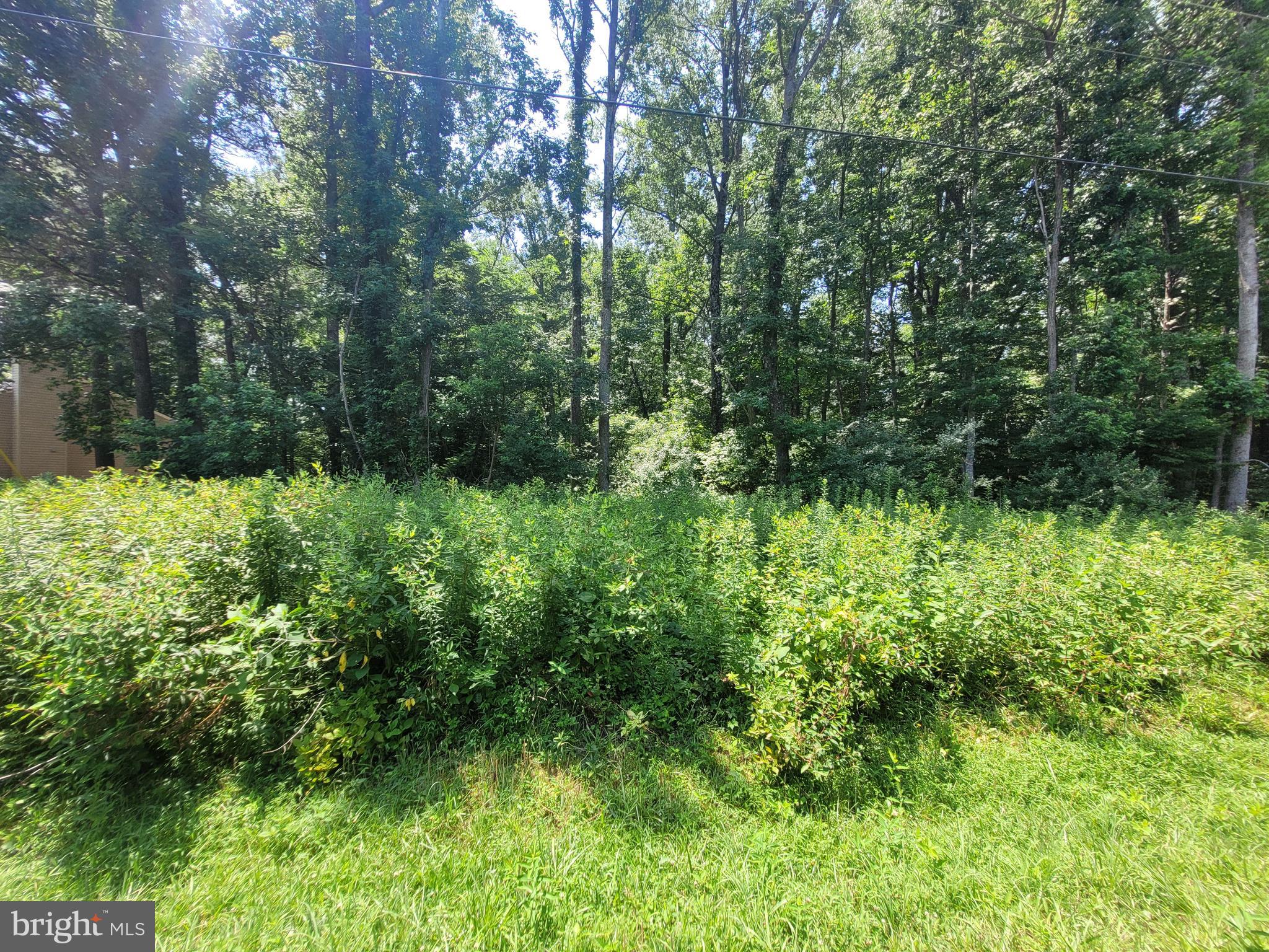 Lot 40 GROVE DR