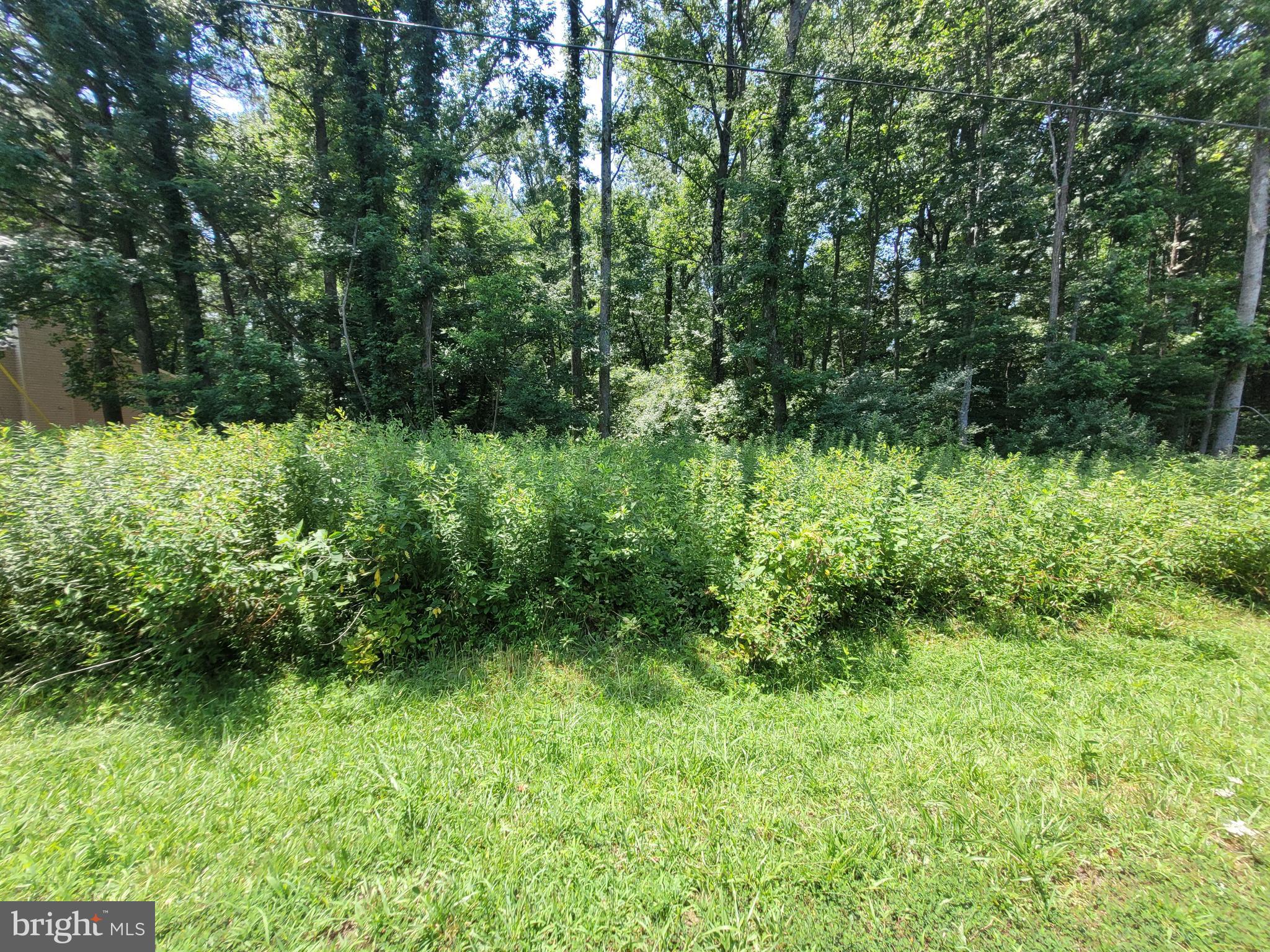 Discover the potential of this approximately 0.47-acre wooded lot in Montross, Westmoreland County, VA, tucked within the scenic waterfront community of Stratford Harbour. Surrounded by natural beauty, this property offers a peaceful setting with a variety of possibilities—whether you're considering a full-time residence, a weekend escape, or a long-term investment.
Stratford Harbour features a variety of community amenities, including Shark Tooth Beach on the Potomac River, the 100-acre Lake Independence, a clubhouse, marina with boat launch, tennis courts, security, and a bi-monthly newsletter.