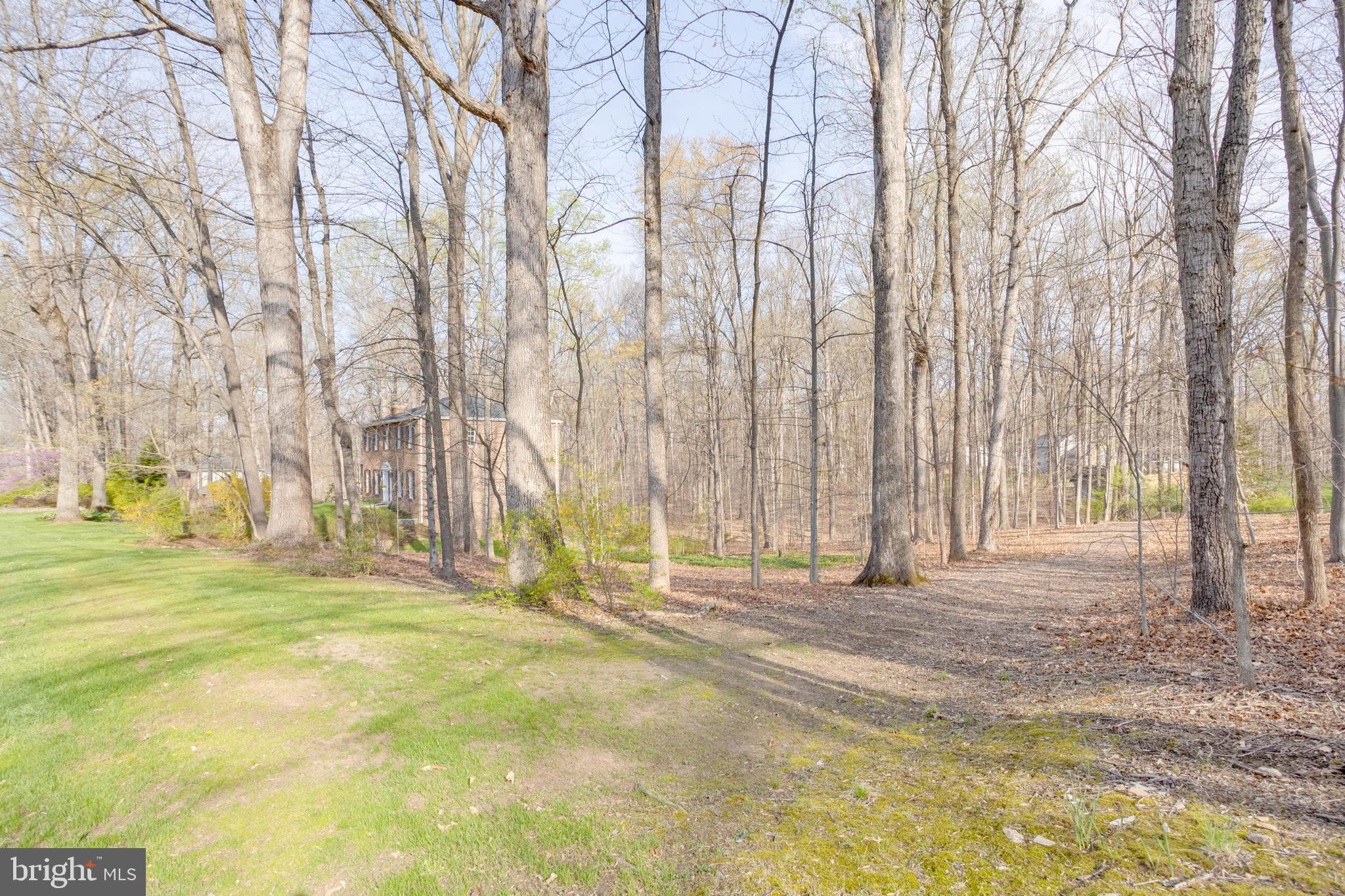 WOODBINE WOODS - Residential