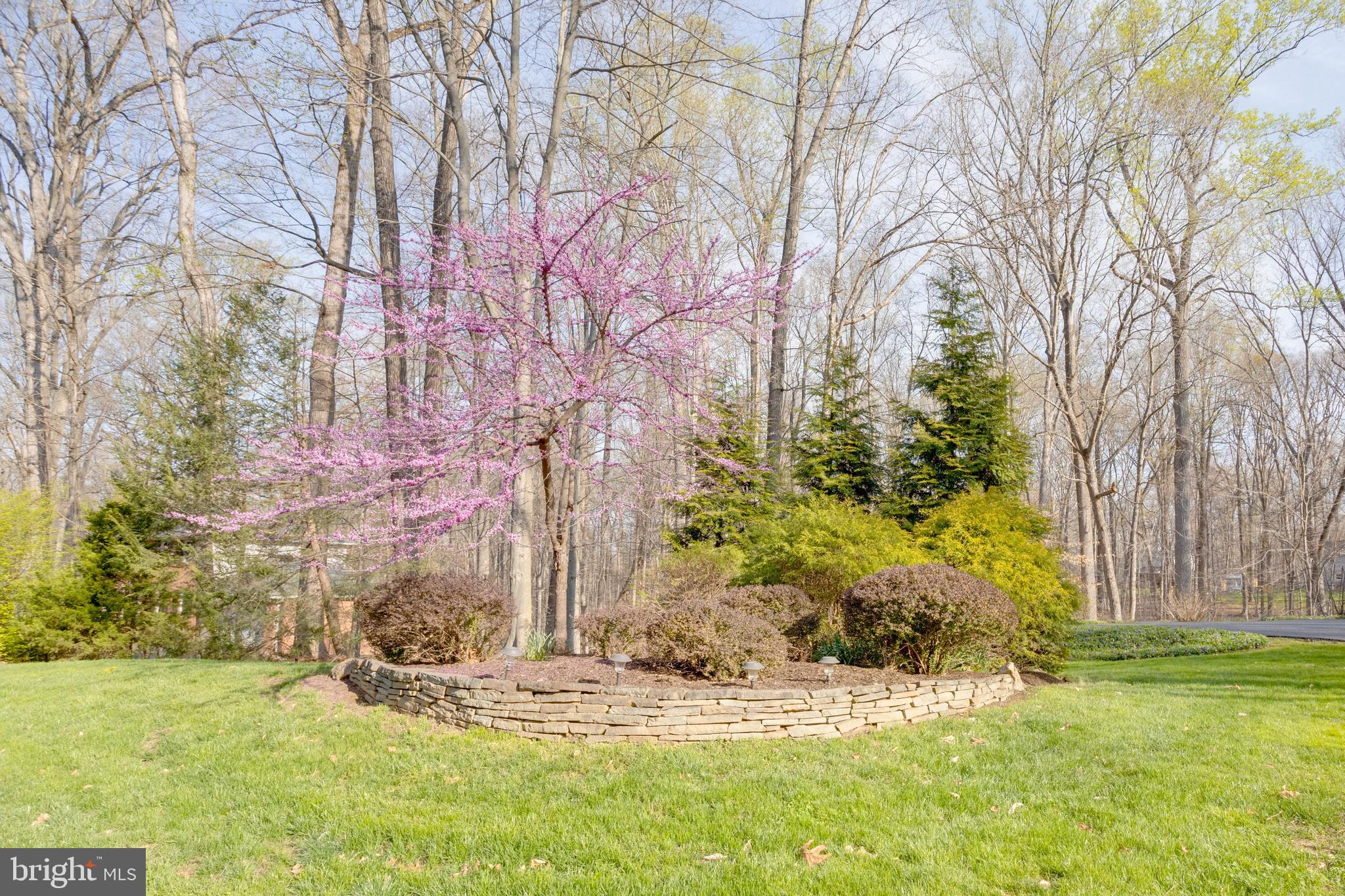 WOODBINE WOODS - Residential