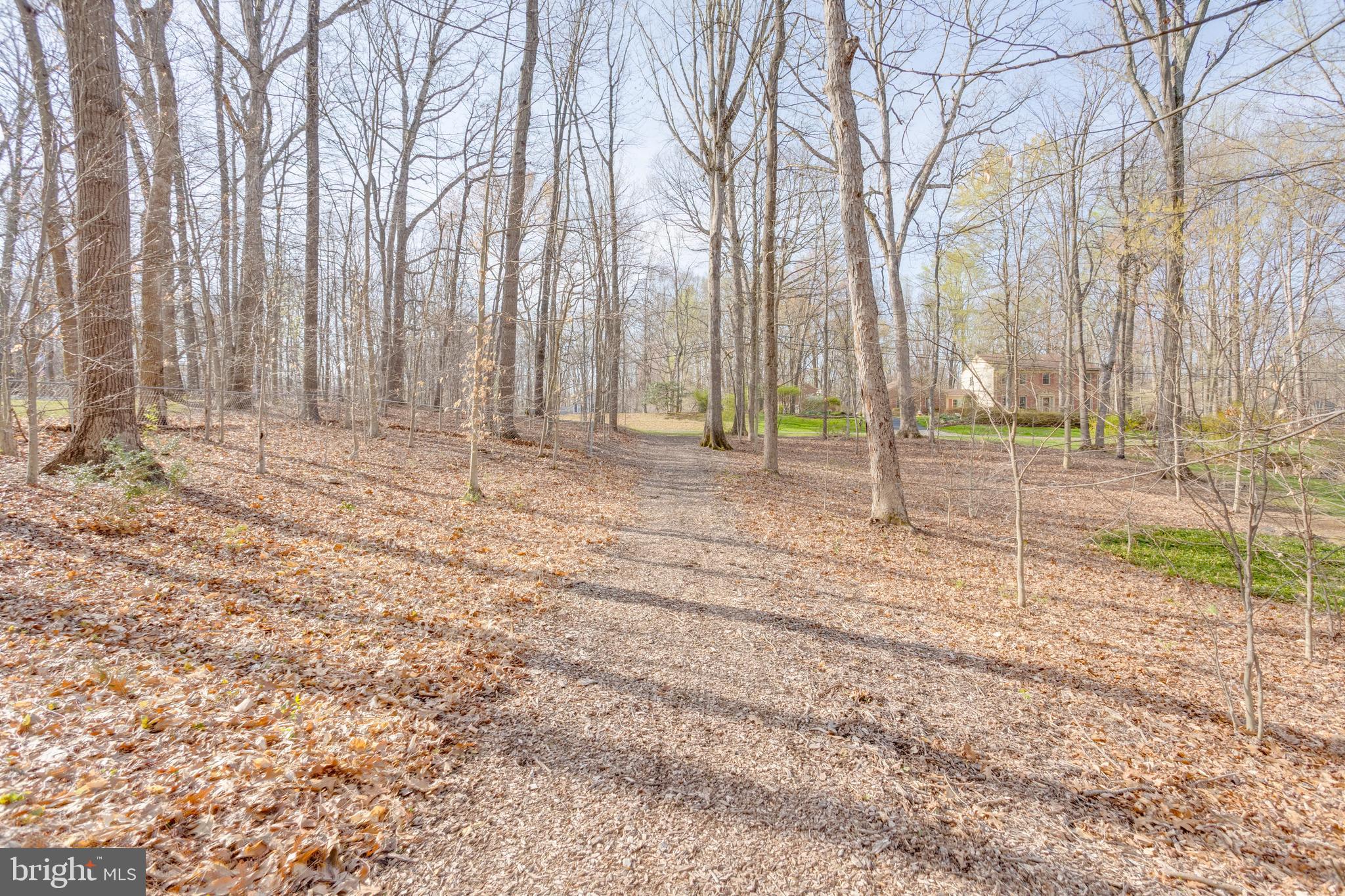 WOODBINE WOODS - Residential