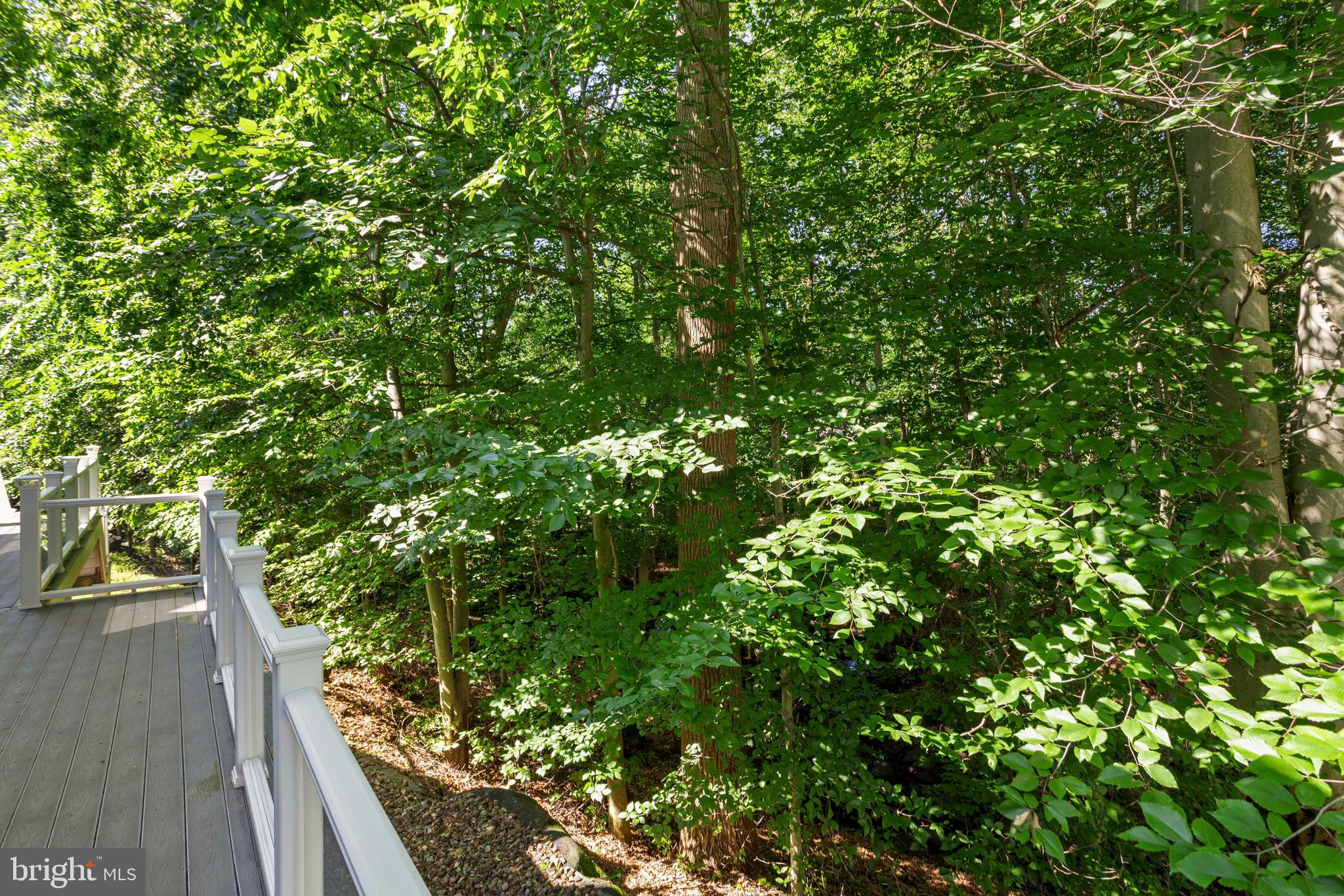 ROCKCREEK - Residential