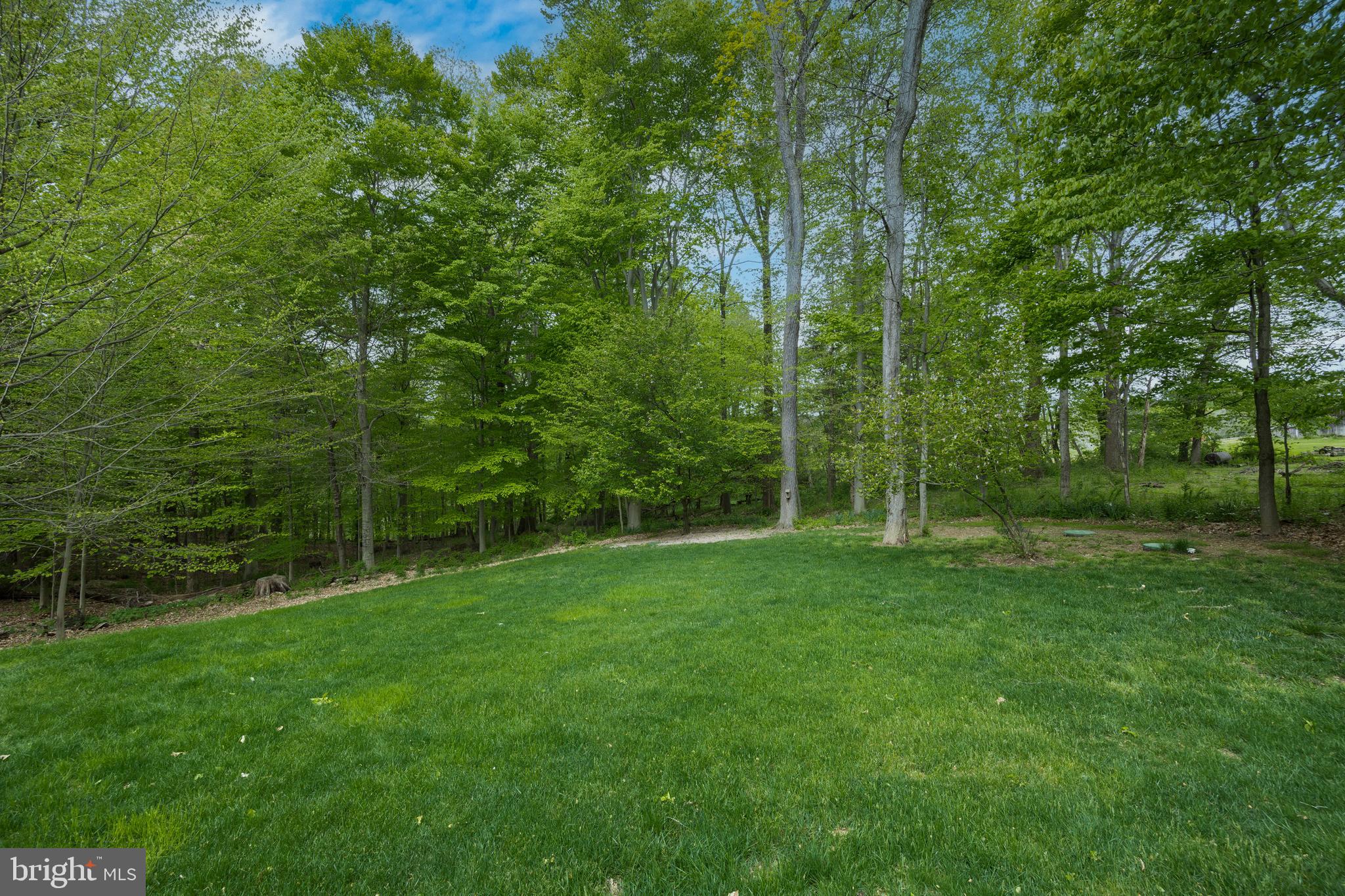 SHENANDOAH - Residential