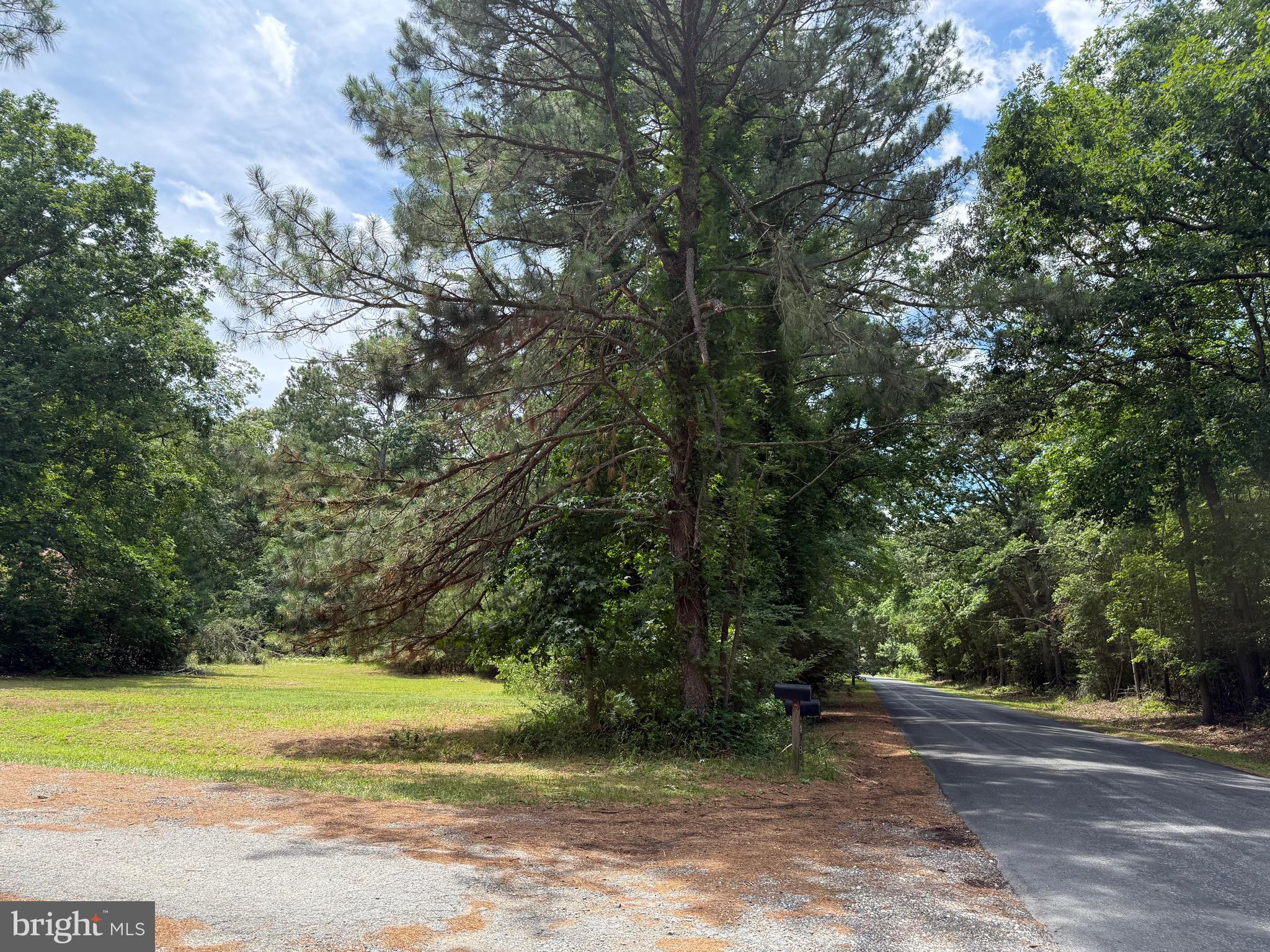 6 LINCOLN DRIVE