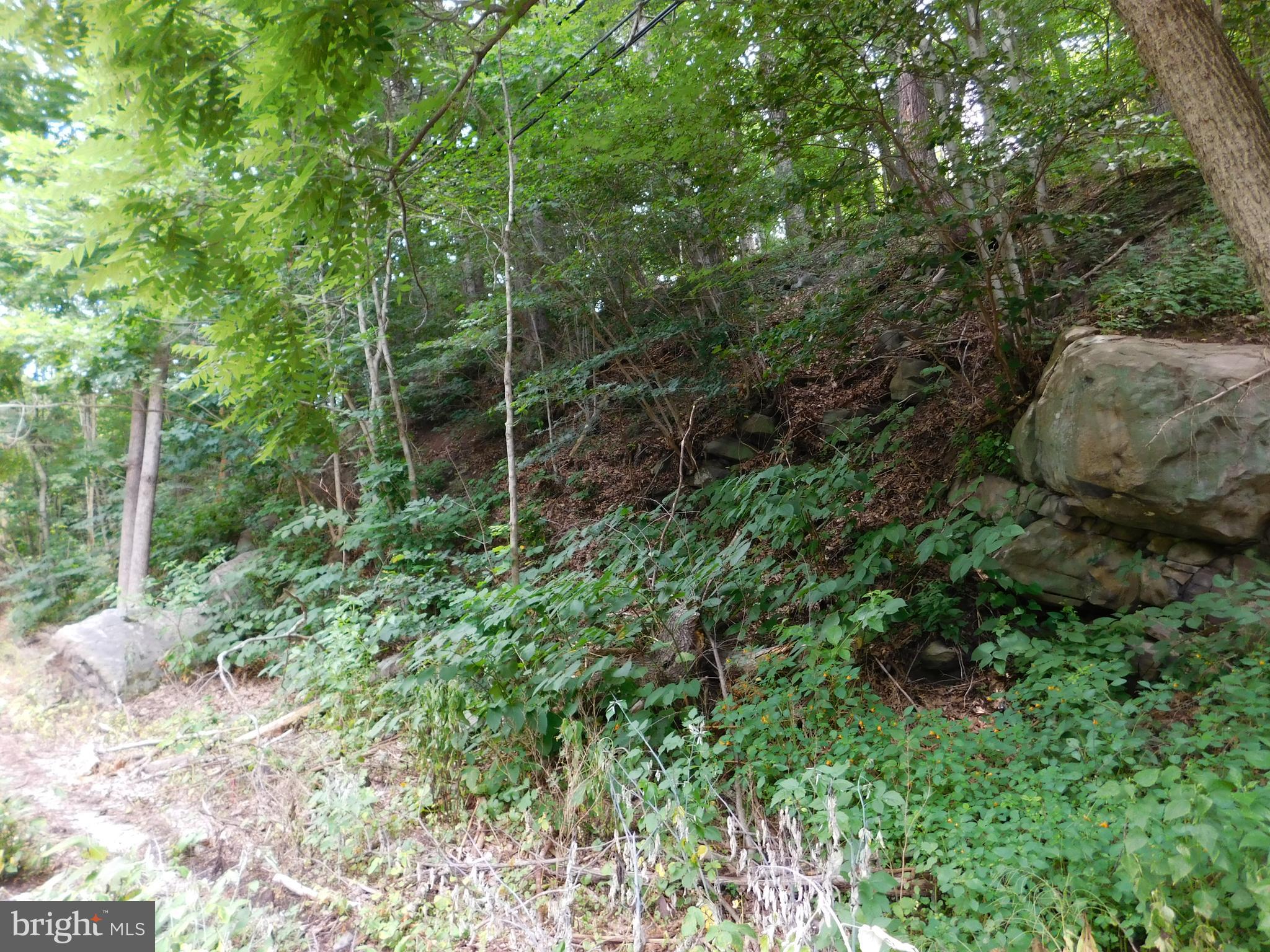 0 CLAREMONT AVENUE