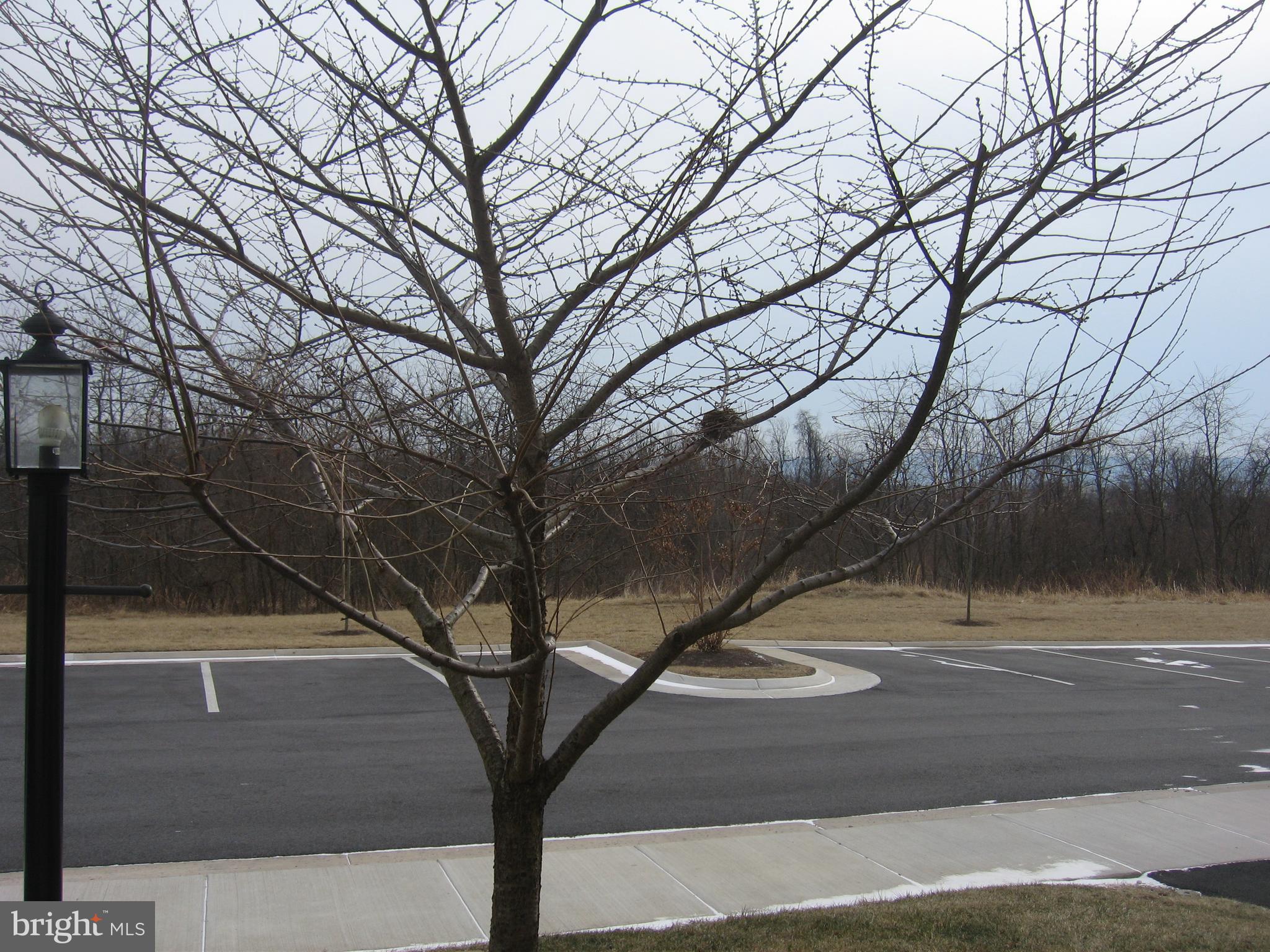 LAKELAND PLACE - Residential