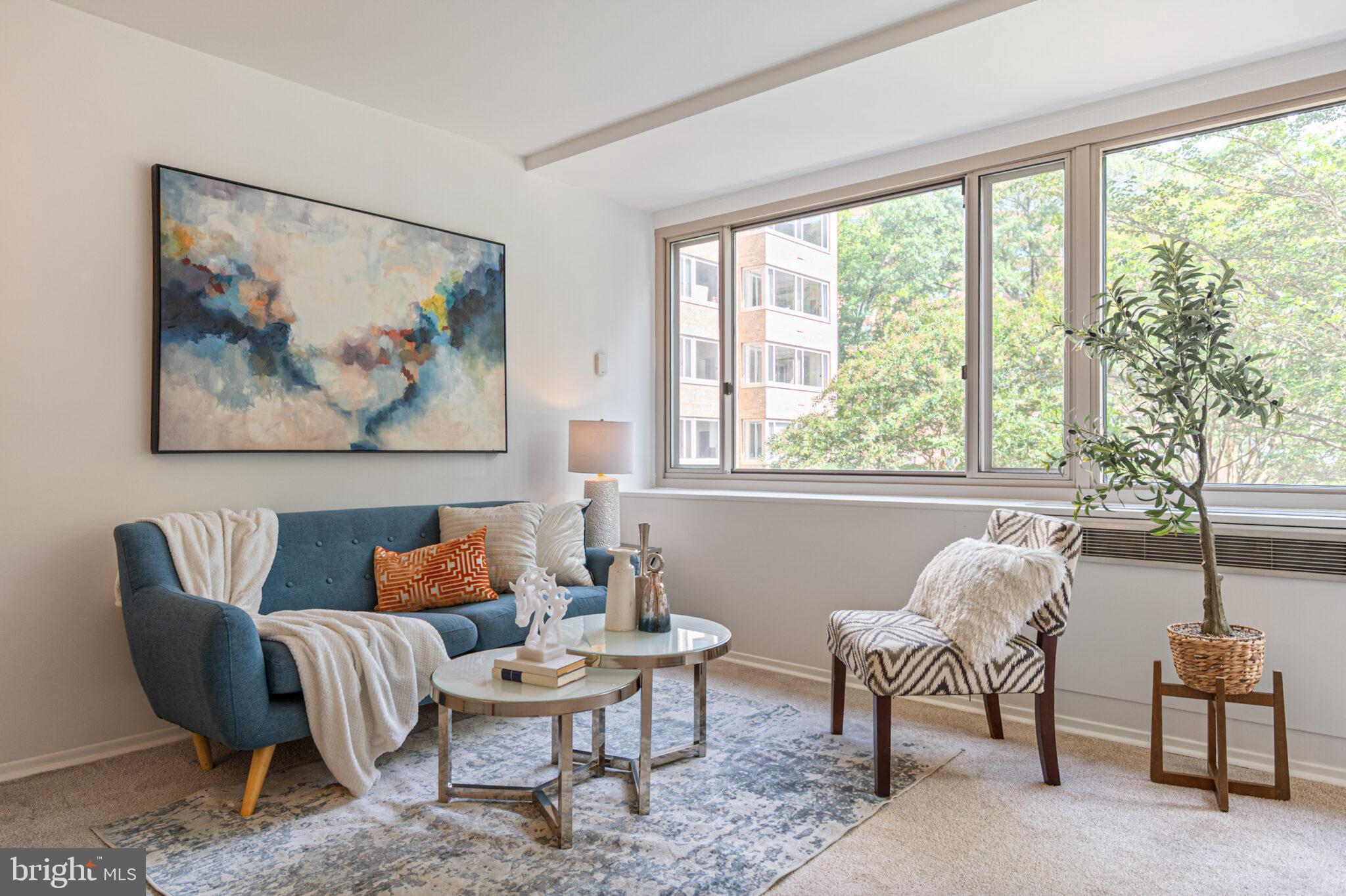 4101 CATHEDRAL AVENUE NW 616