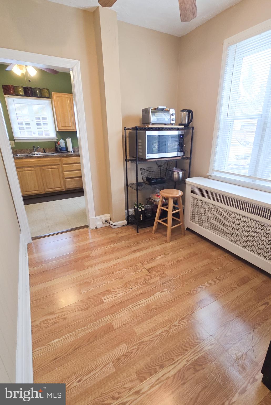 ASHBURTON HISTORIC DISTRICT - Residential