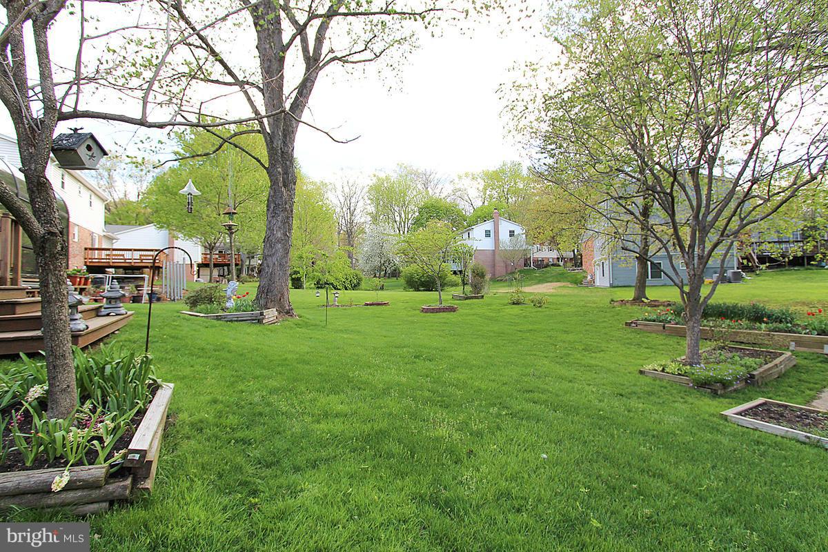 ORANGE HUNT ESTATES - Residential