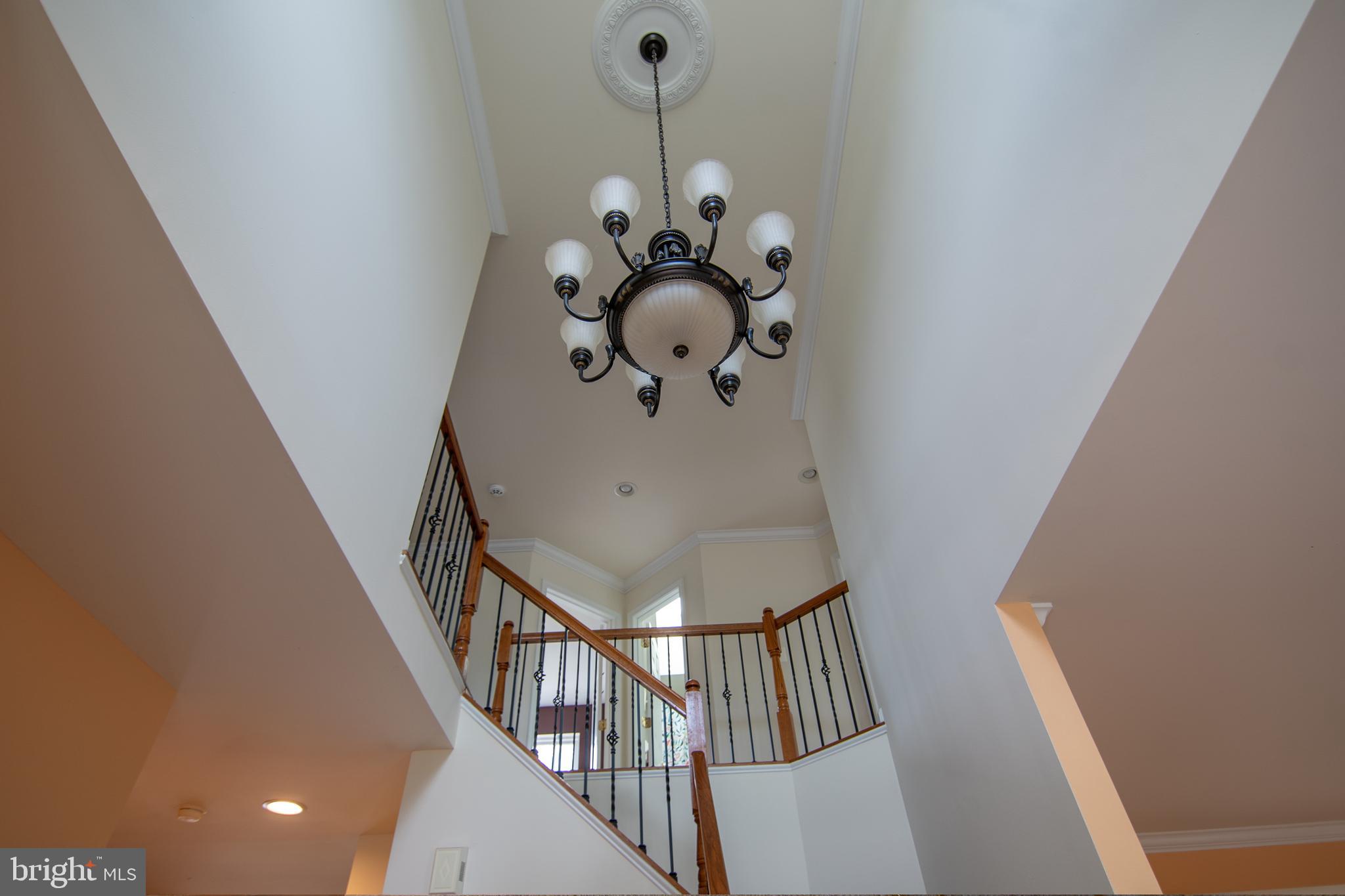 12253 TULANE FALLS DRIVE