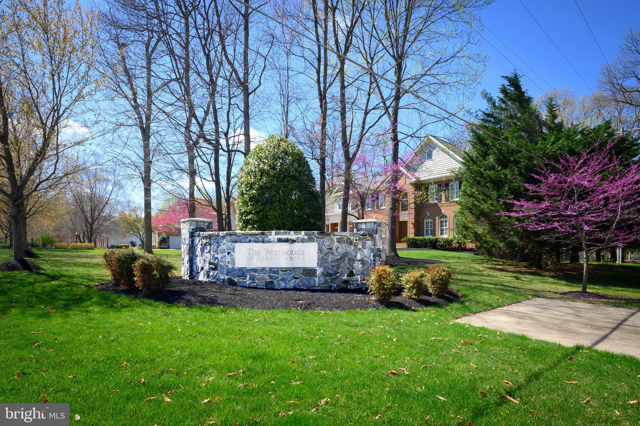 16900 OLD SAWMILL ROAD