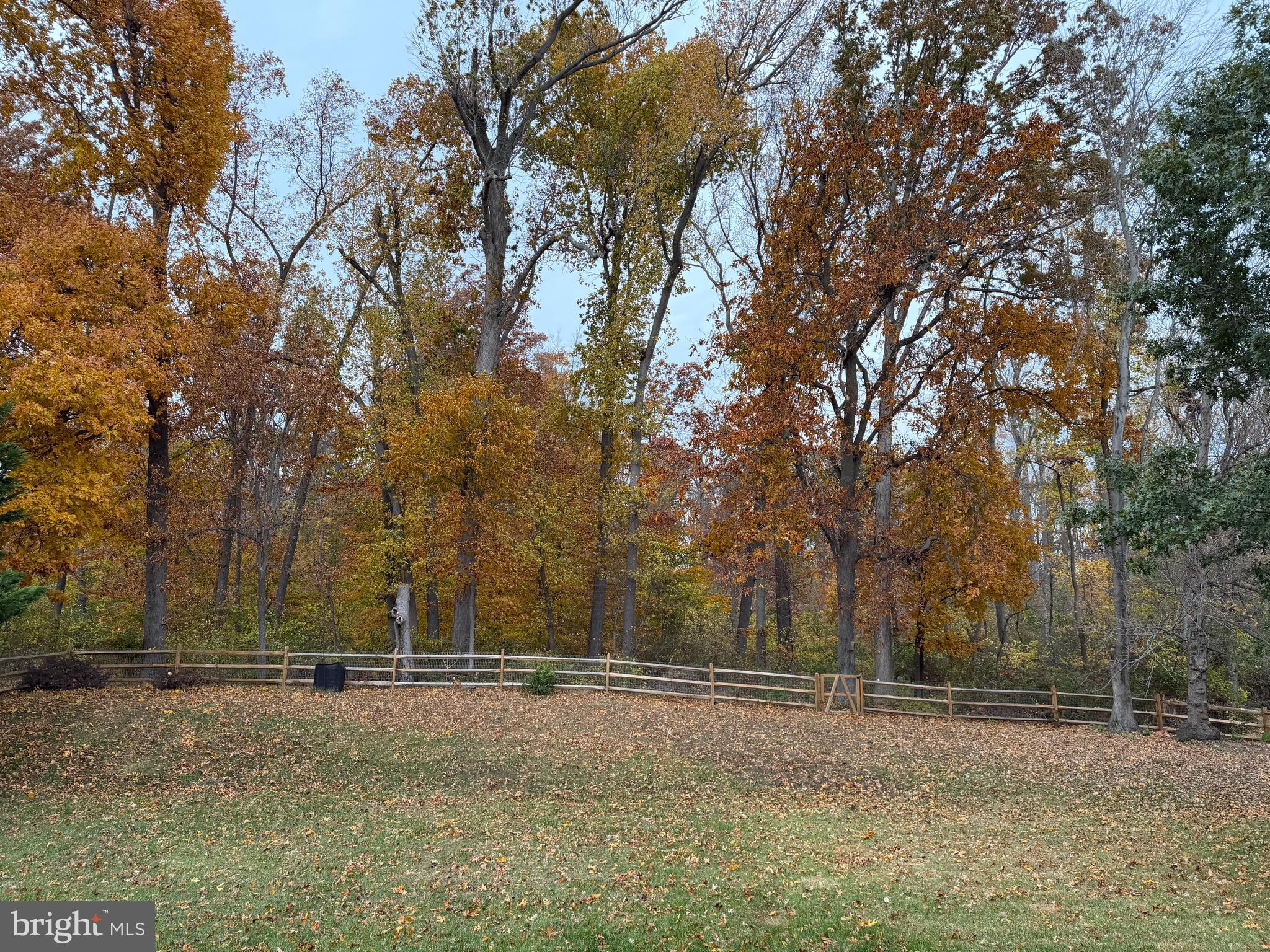 CLAIRBORNE - Residential