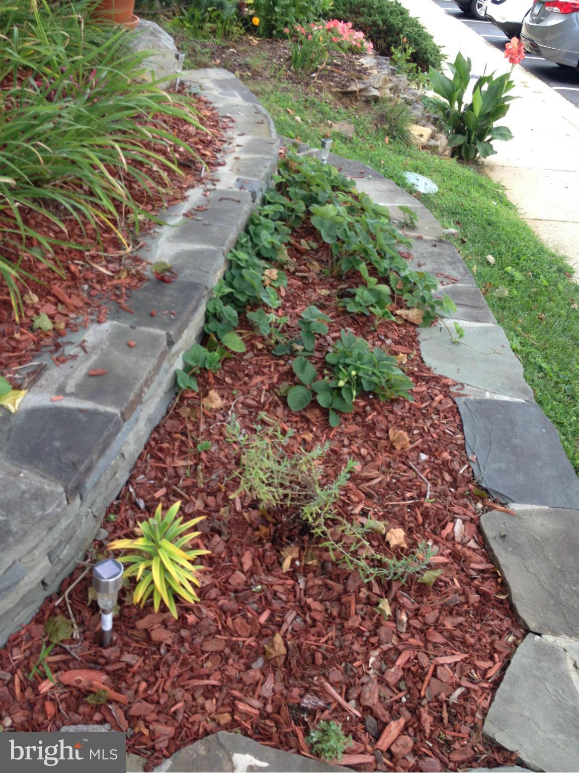 WALNUT RIDGE - Residential Lease