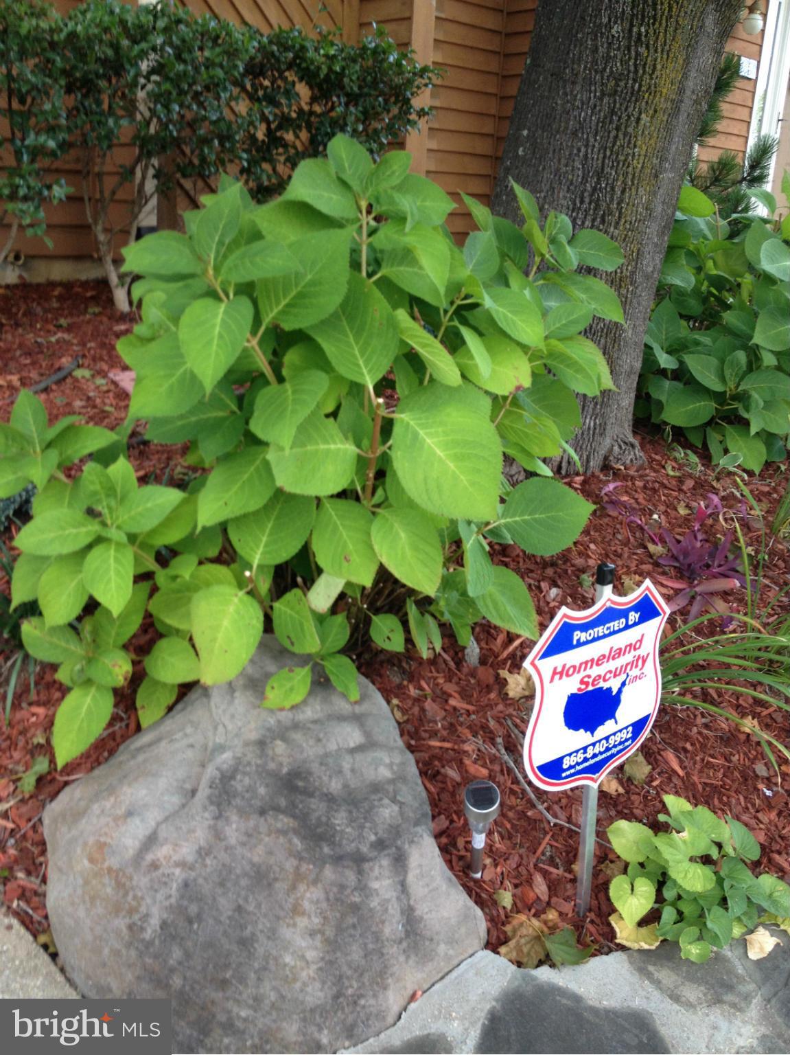 WALNUT RIDGE - Residential Lease