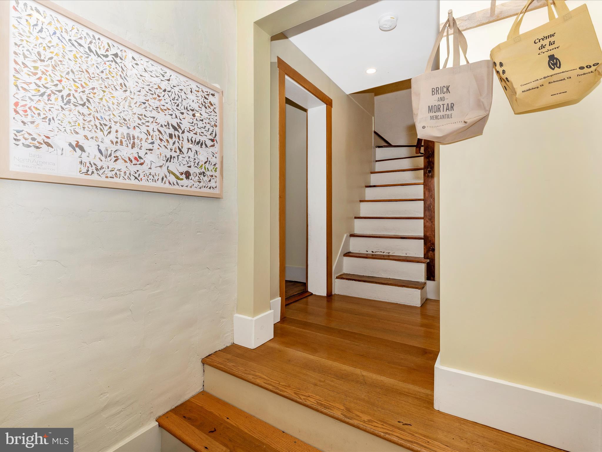 DOWNTOWN FREDERICK - Residential