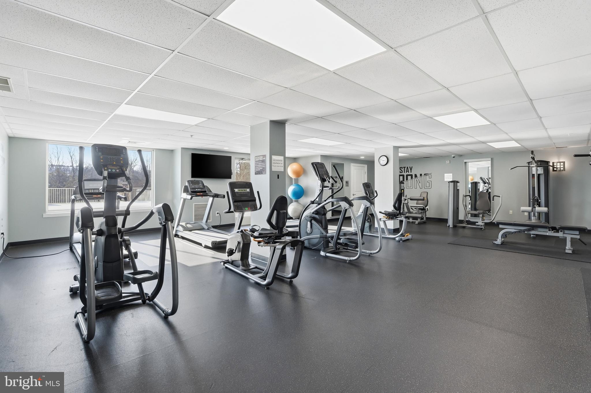 ISABELLA AT MONTICELLO MEWS - Residential