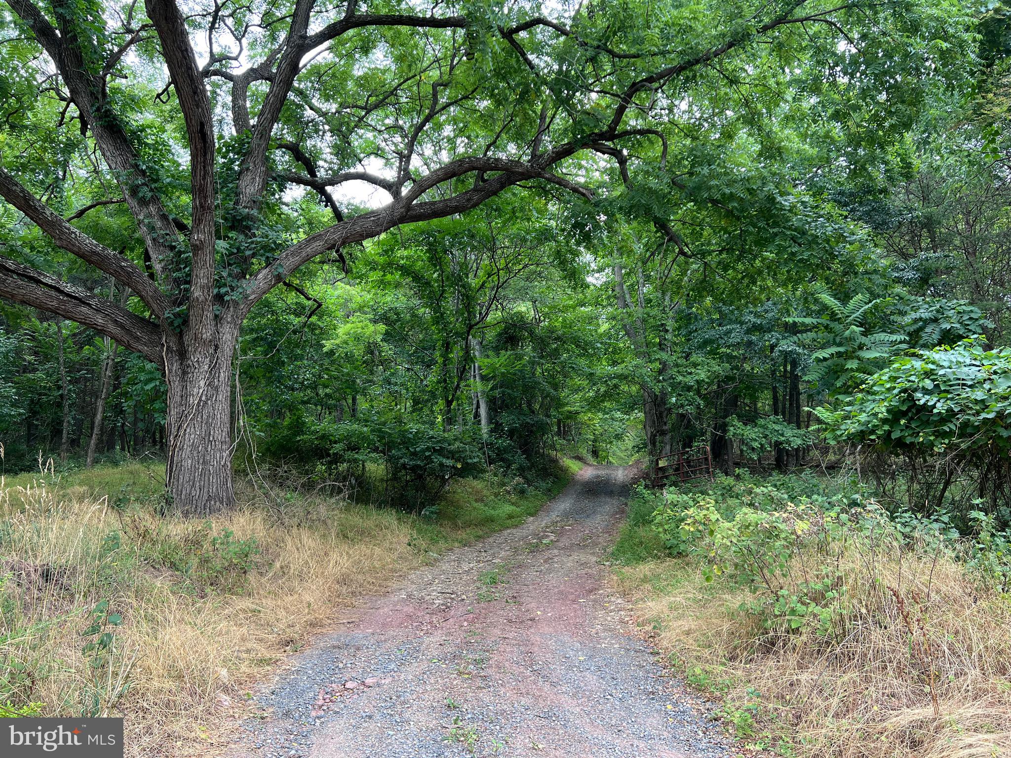 10.941 Unrestricted Acres - Build your vacation get-a-way of full time residence here. Looks like a great place to hunt, ride your ATV or just relax.