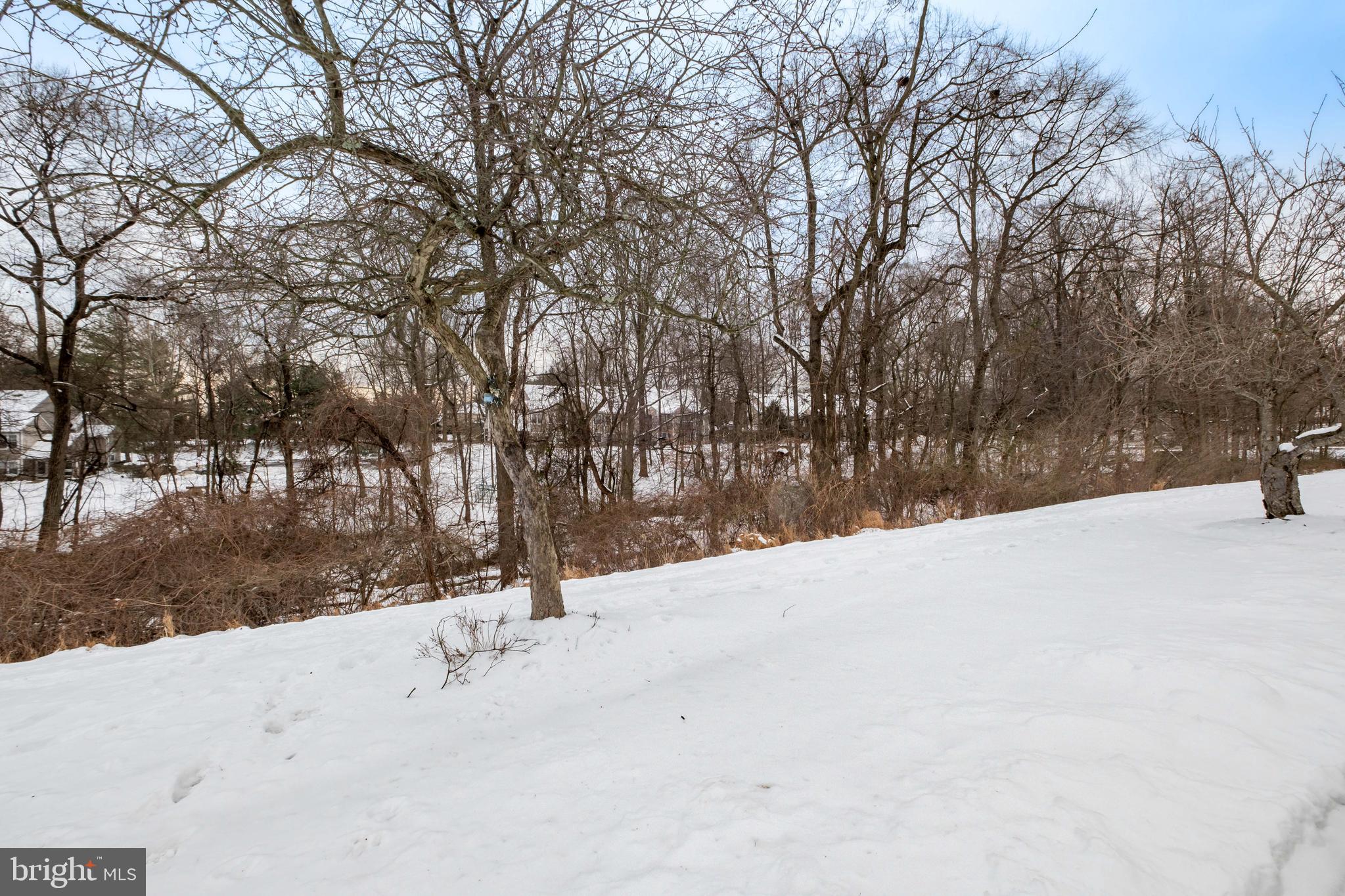 TAMERLANE - Residential