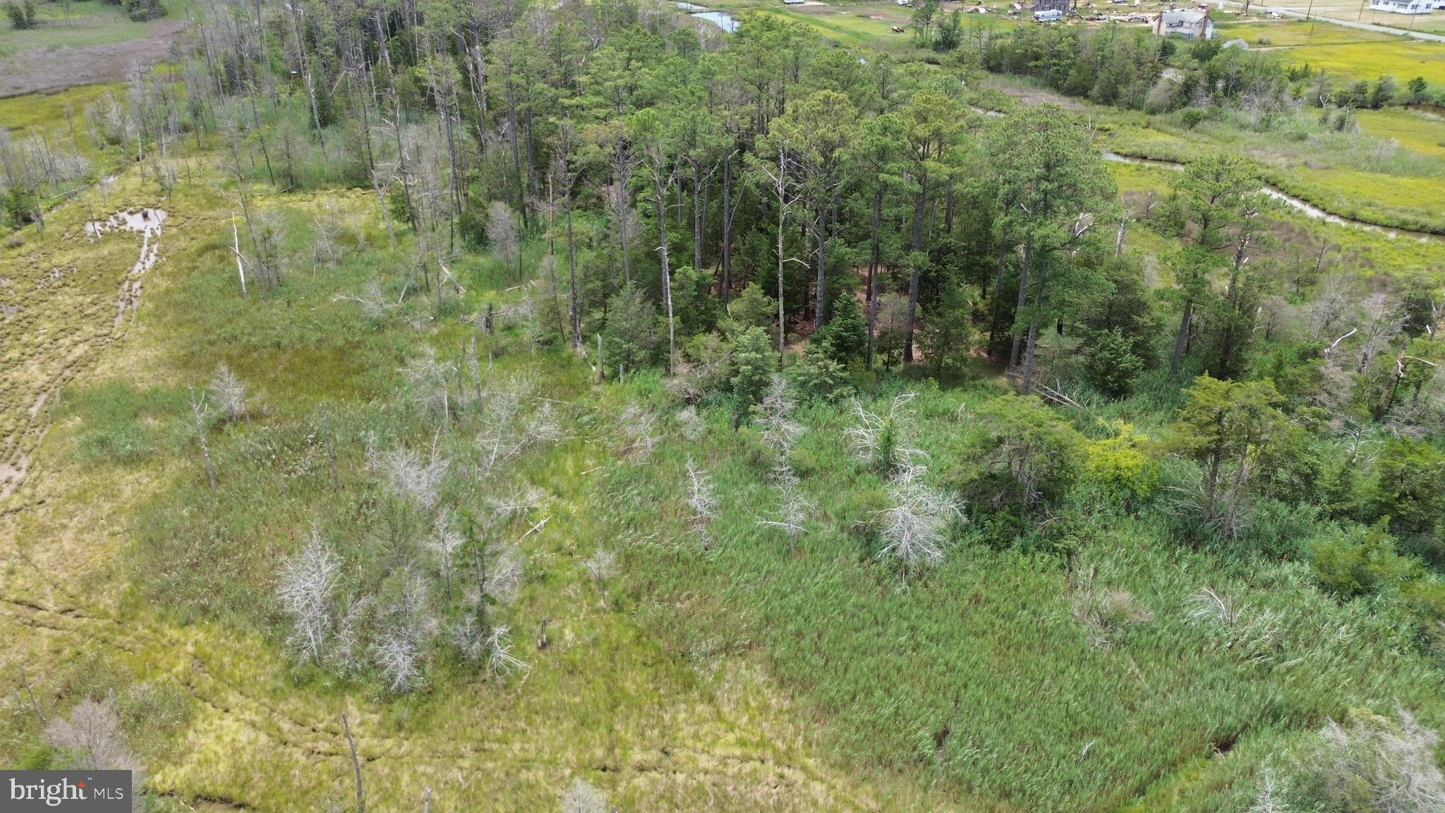 FARM CREEK RD