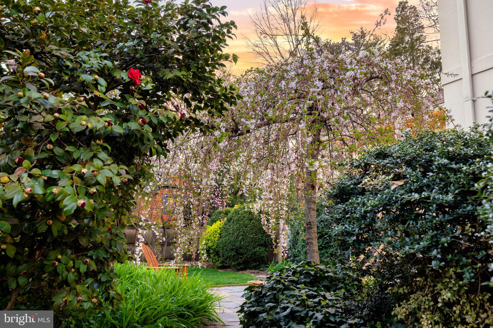 BRADDOCK HEIGHTS - Residential