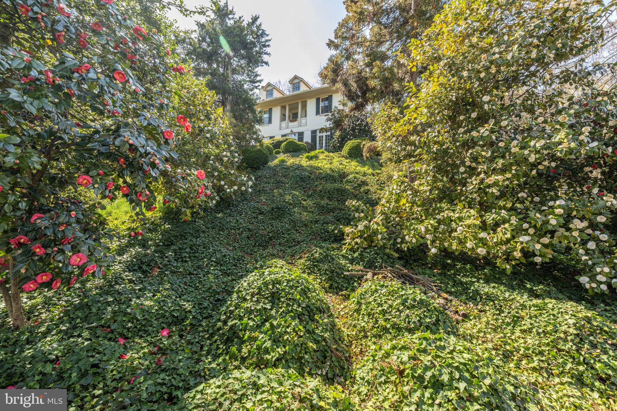 BRADDOCK HEIGHTS - Residential