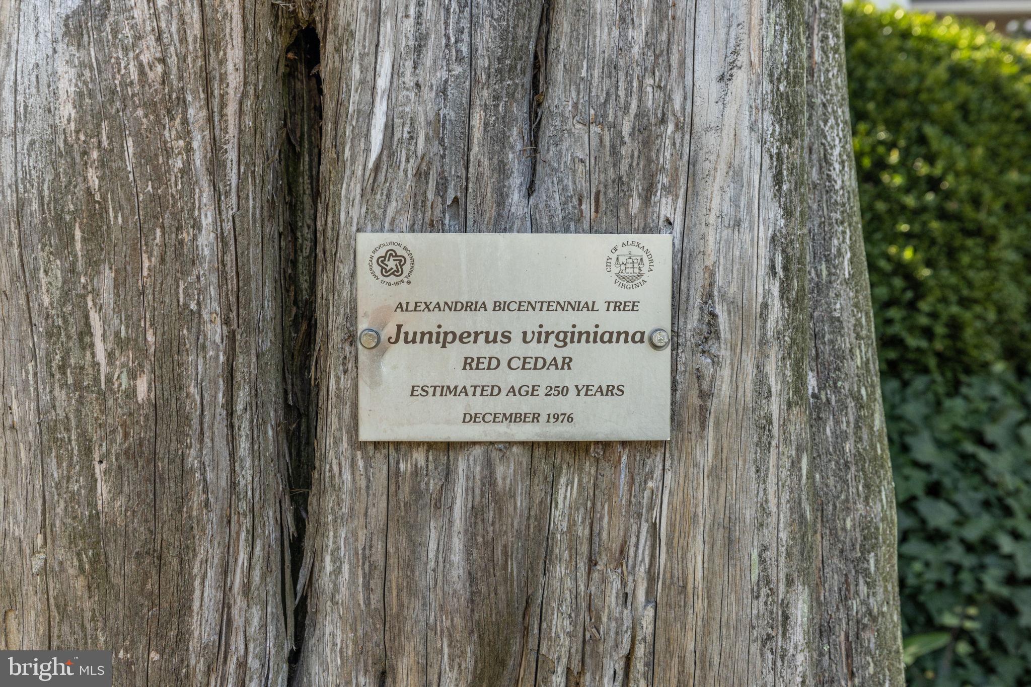 BRADDOCK HEIGHTS - Residential