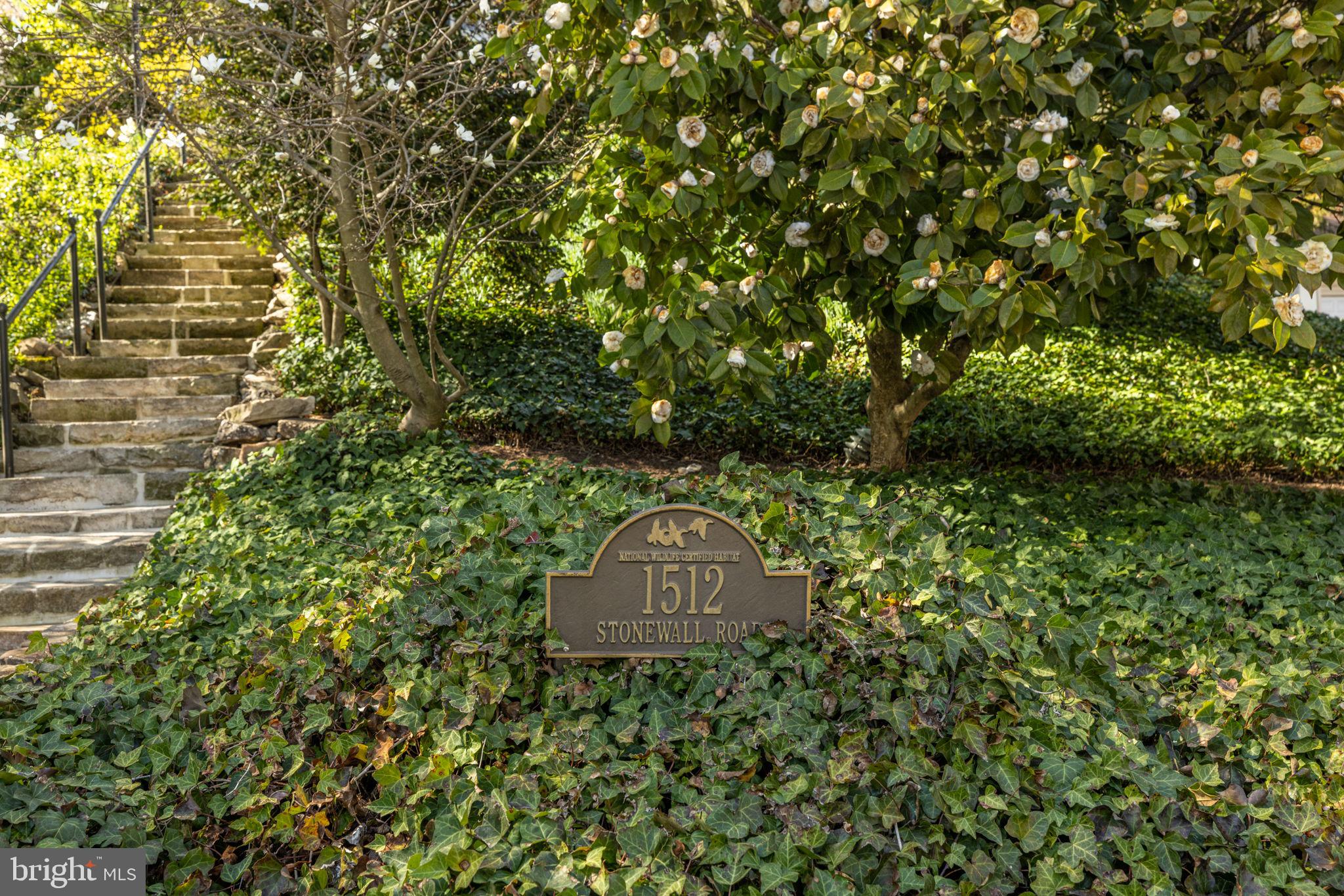 BRADDOCK HEIGHTS - Residential