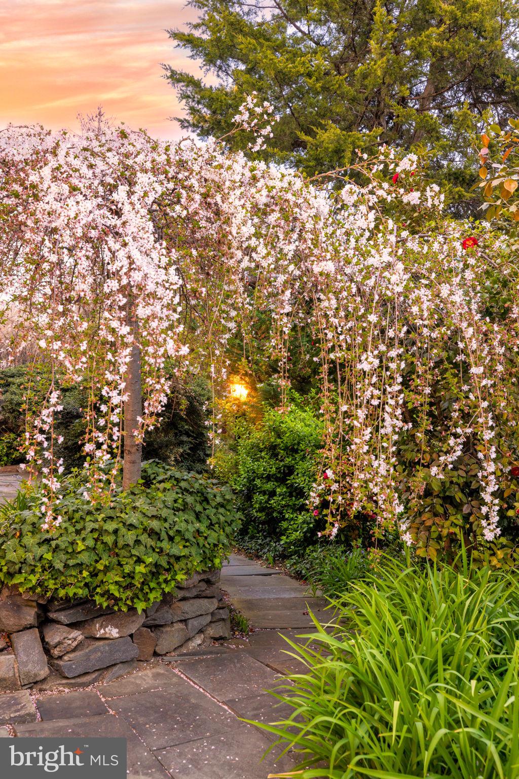 BRADDOCK HEIGHTS - Residential