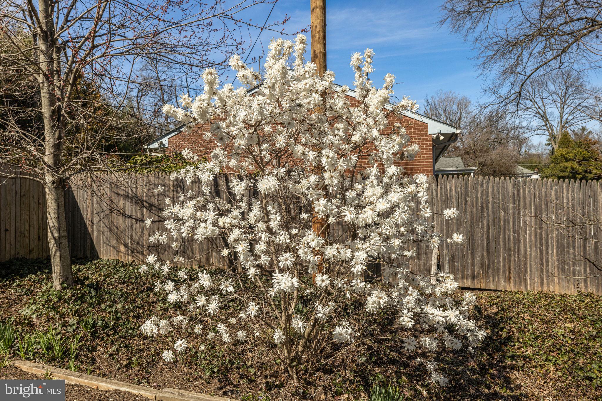 BRADDOCK HEIGHTS - Residential