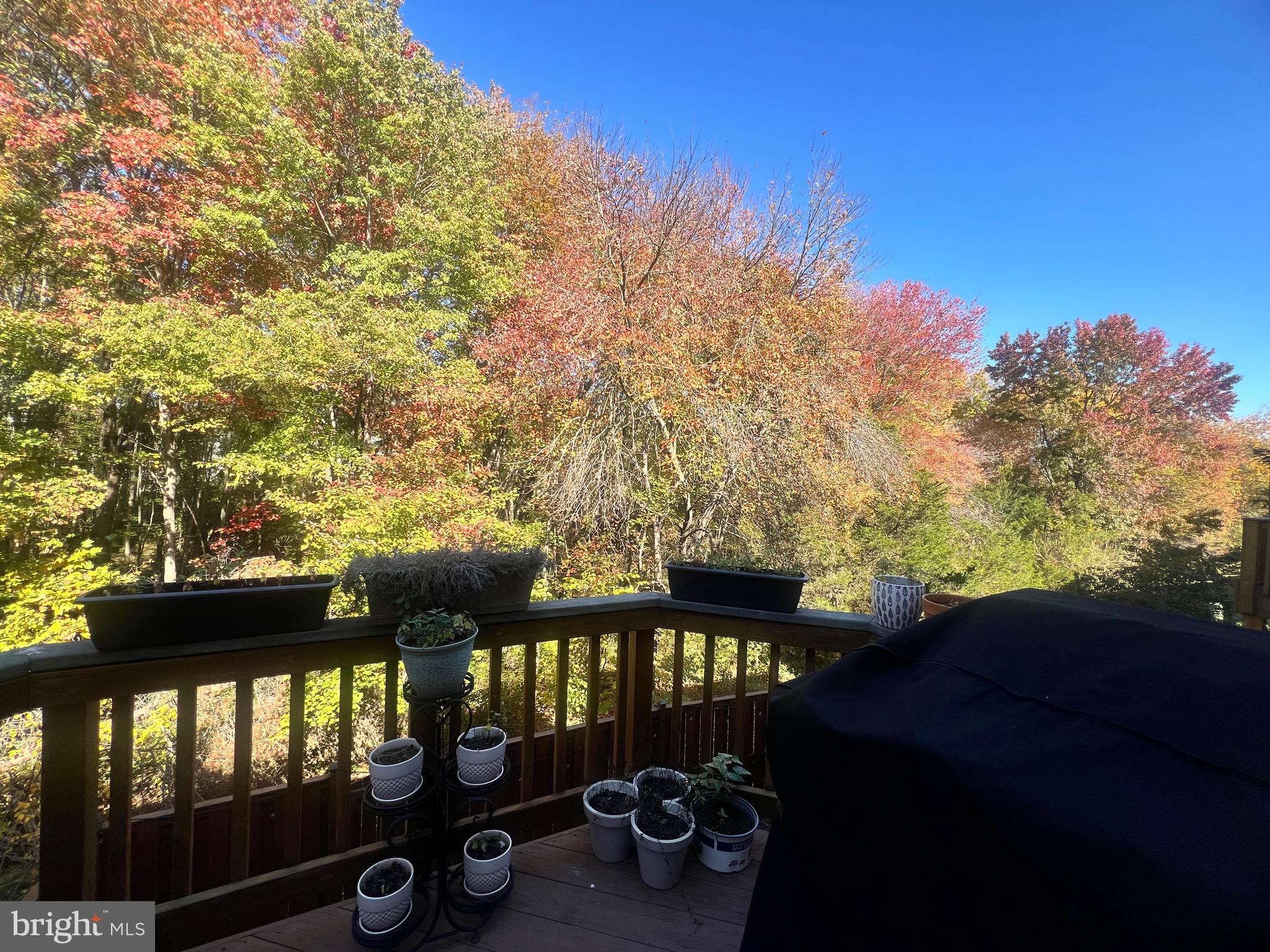 TOWNES OF MANCHESTER WOODS - Residential Lease