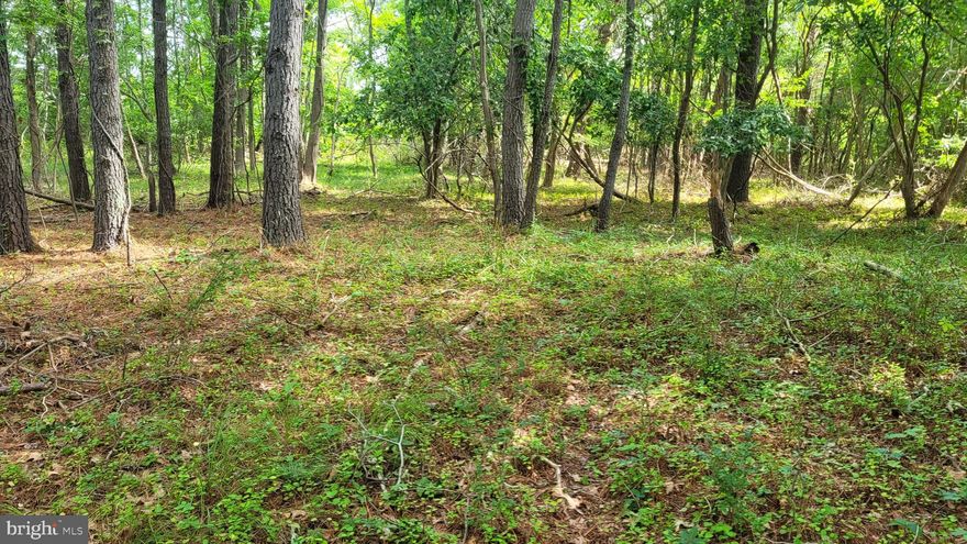 Own a piece of history on beautiful Deale Island! This 2.5 acre property is perfect for those seeking a secluded escape. Build your dream home, create a nature retreat, or explore the endless possibilities this land offers. Located in historic Deale Island, you'll be surrounded by stunning natural beauty and rich history. Don't miss this chance to own a part of Maryland's Eastern Shore!