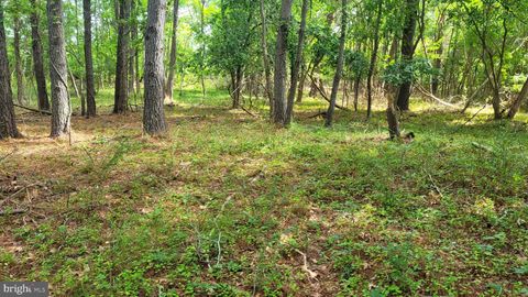 10028 N SCHOOL ROAD DEAL ISLAND MD 21821