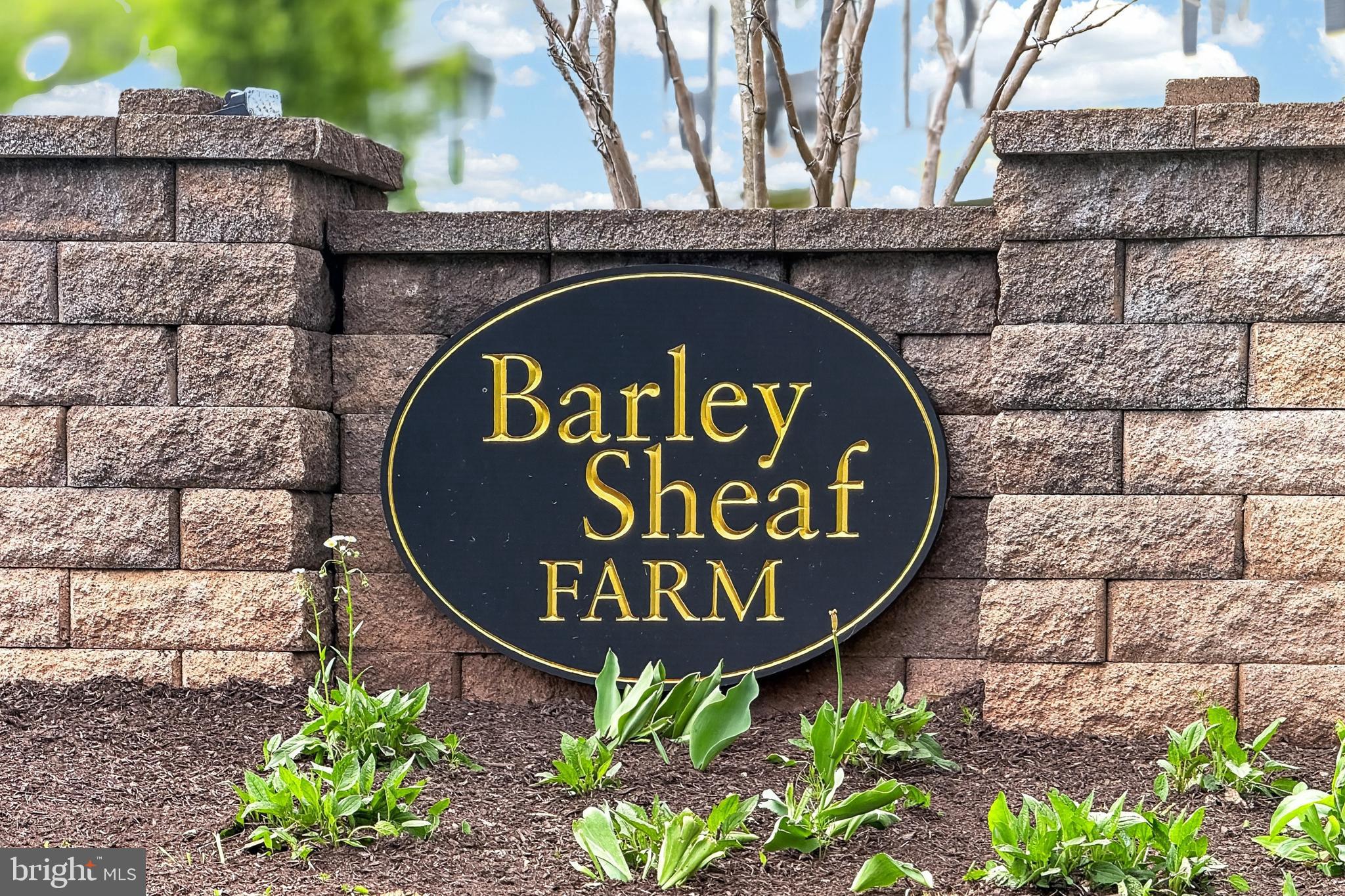 BARLEY SHEAF - Residential