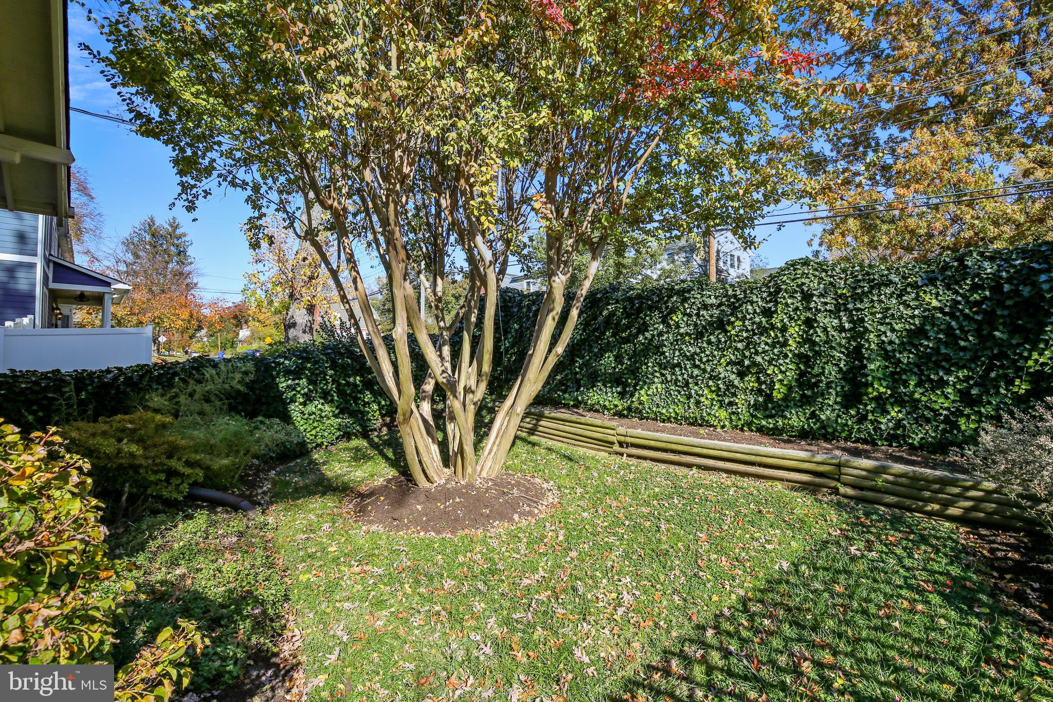 BON AIR - Residential