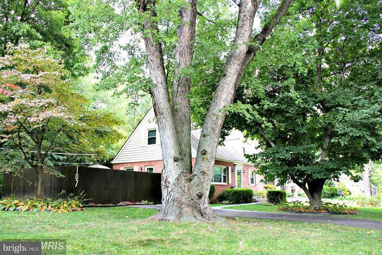 DEVONSHIRE - Residential Lease